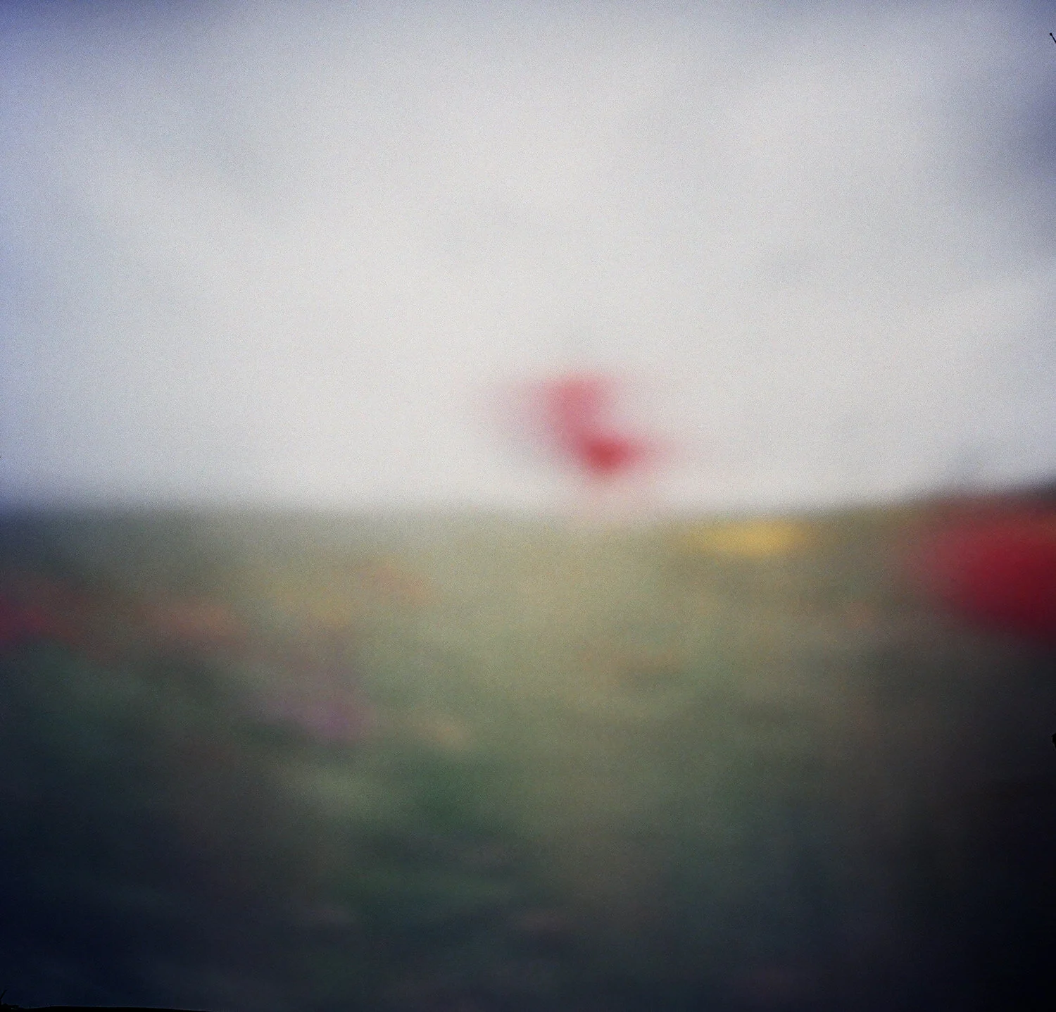 pinhole-9.jpg