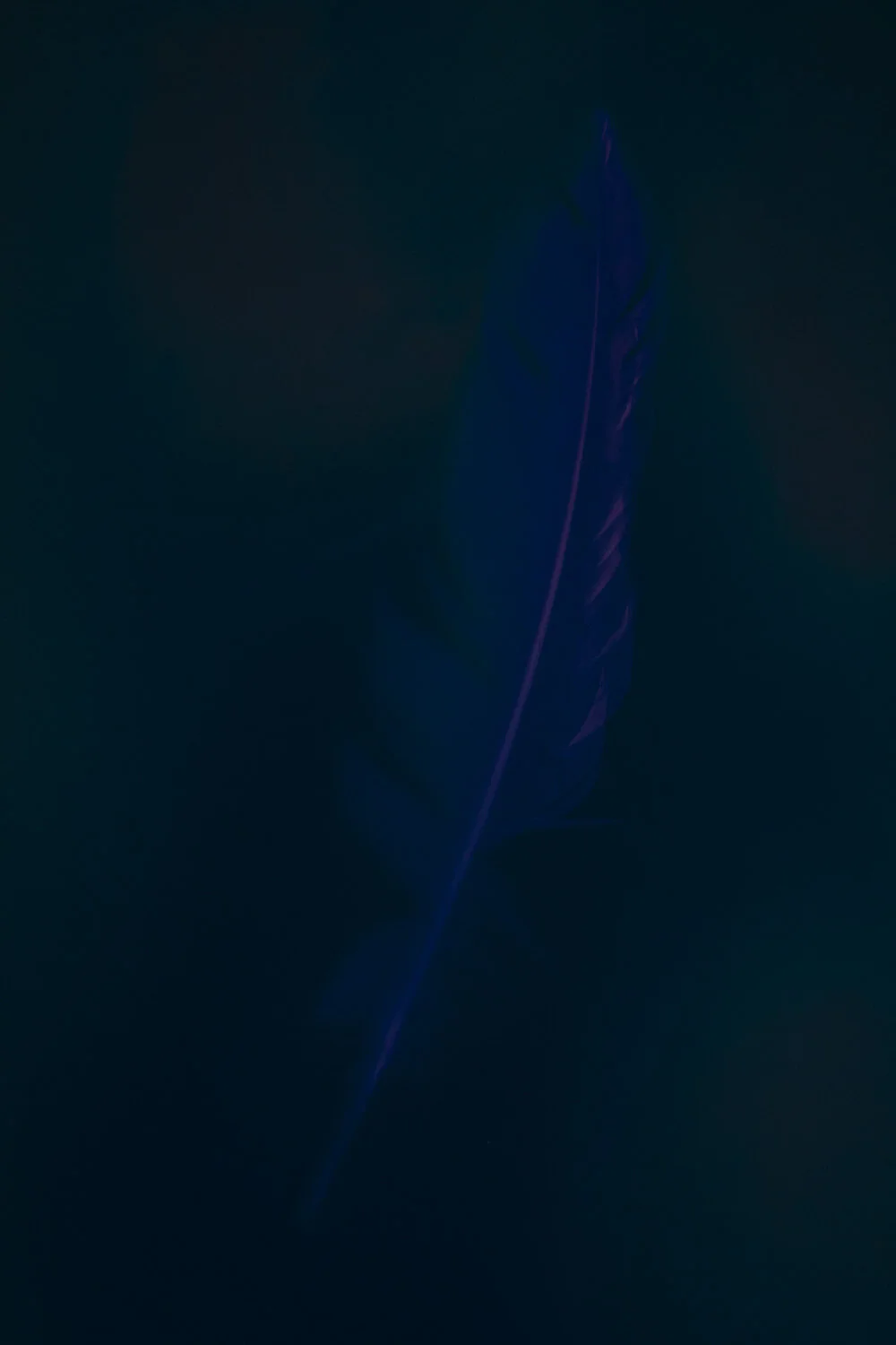 blue lumens-3.jpg