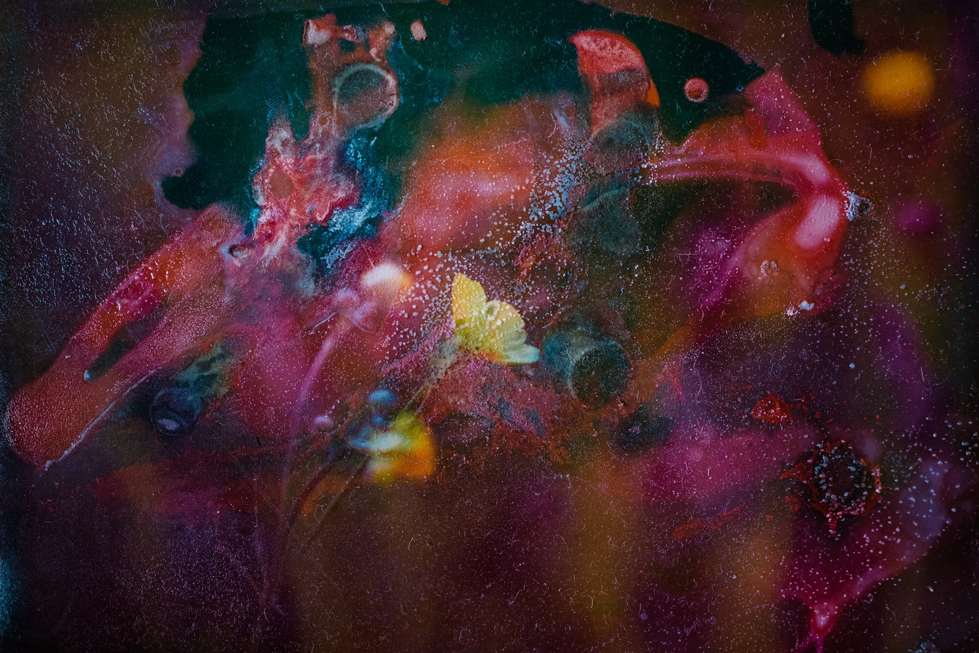 wildflowers-3.jpg