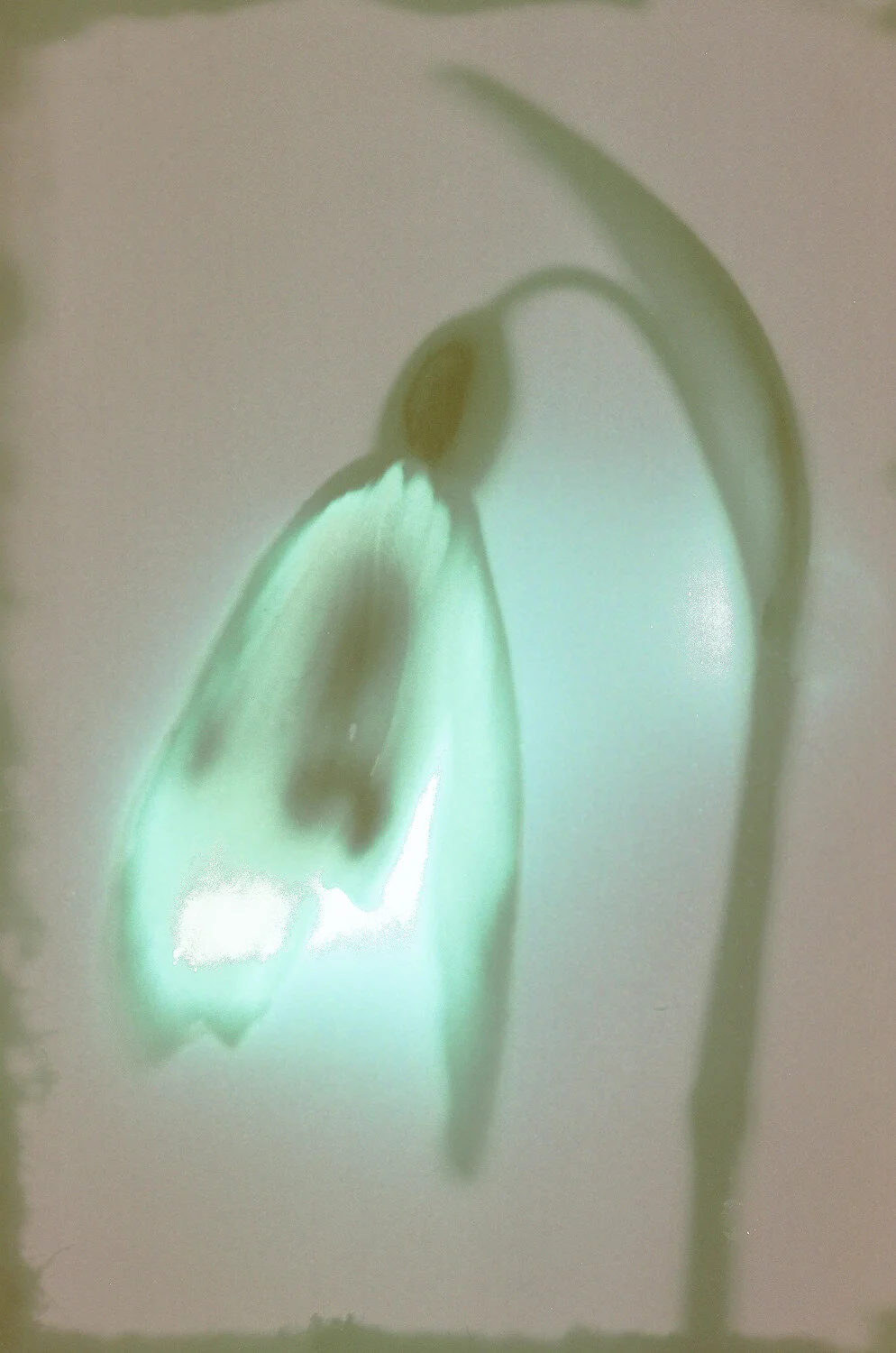 35mm lumens-1.jpg