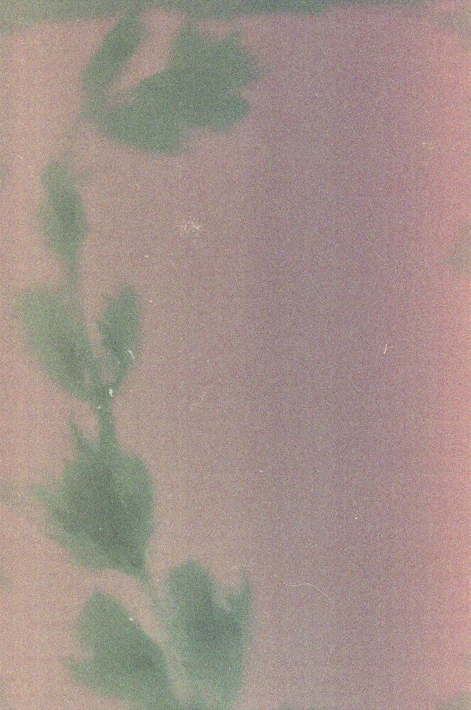 lumen 35mm-3.jpg