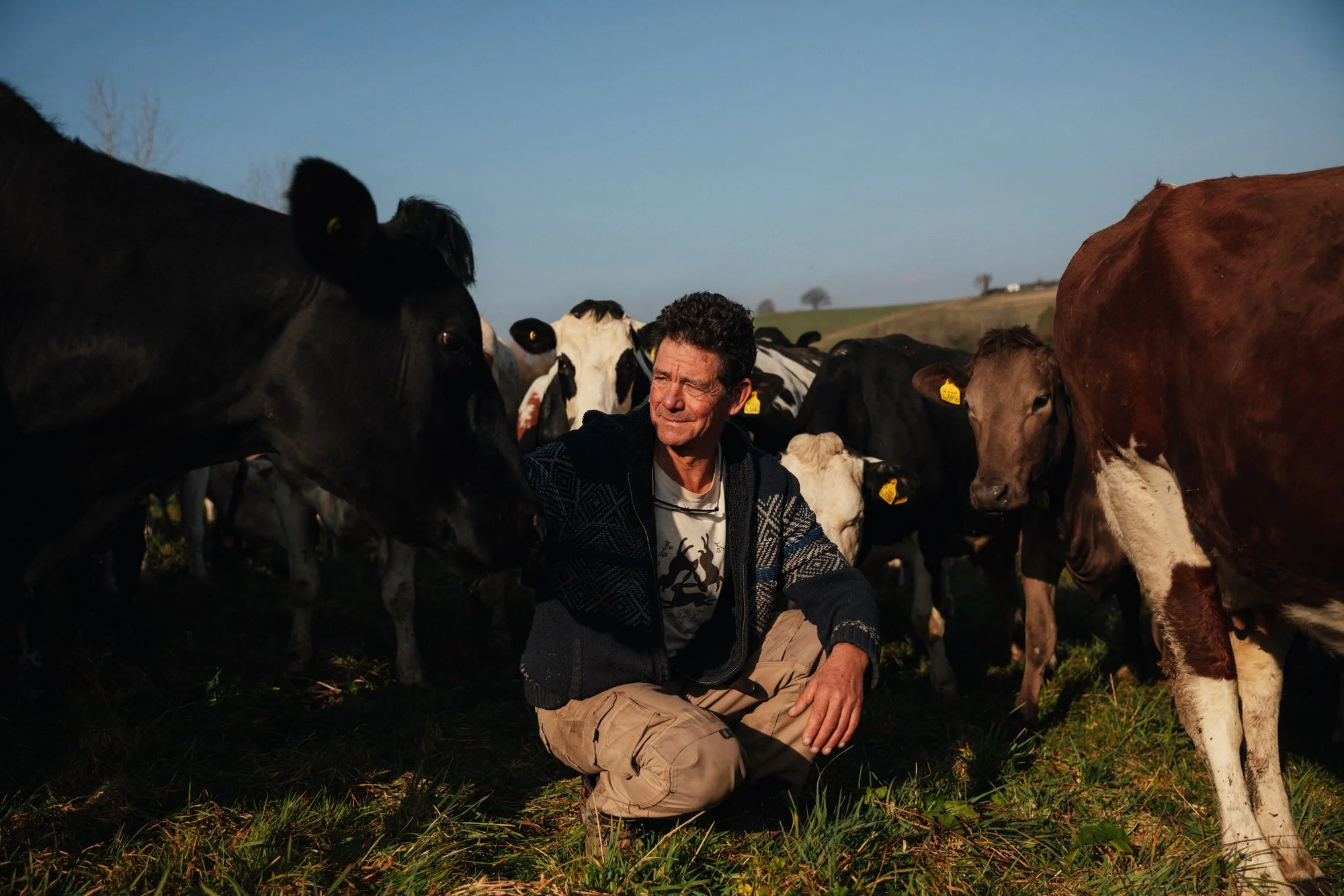 Riverford Dairy COLOUR CORRECTED-1.jpg