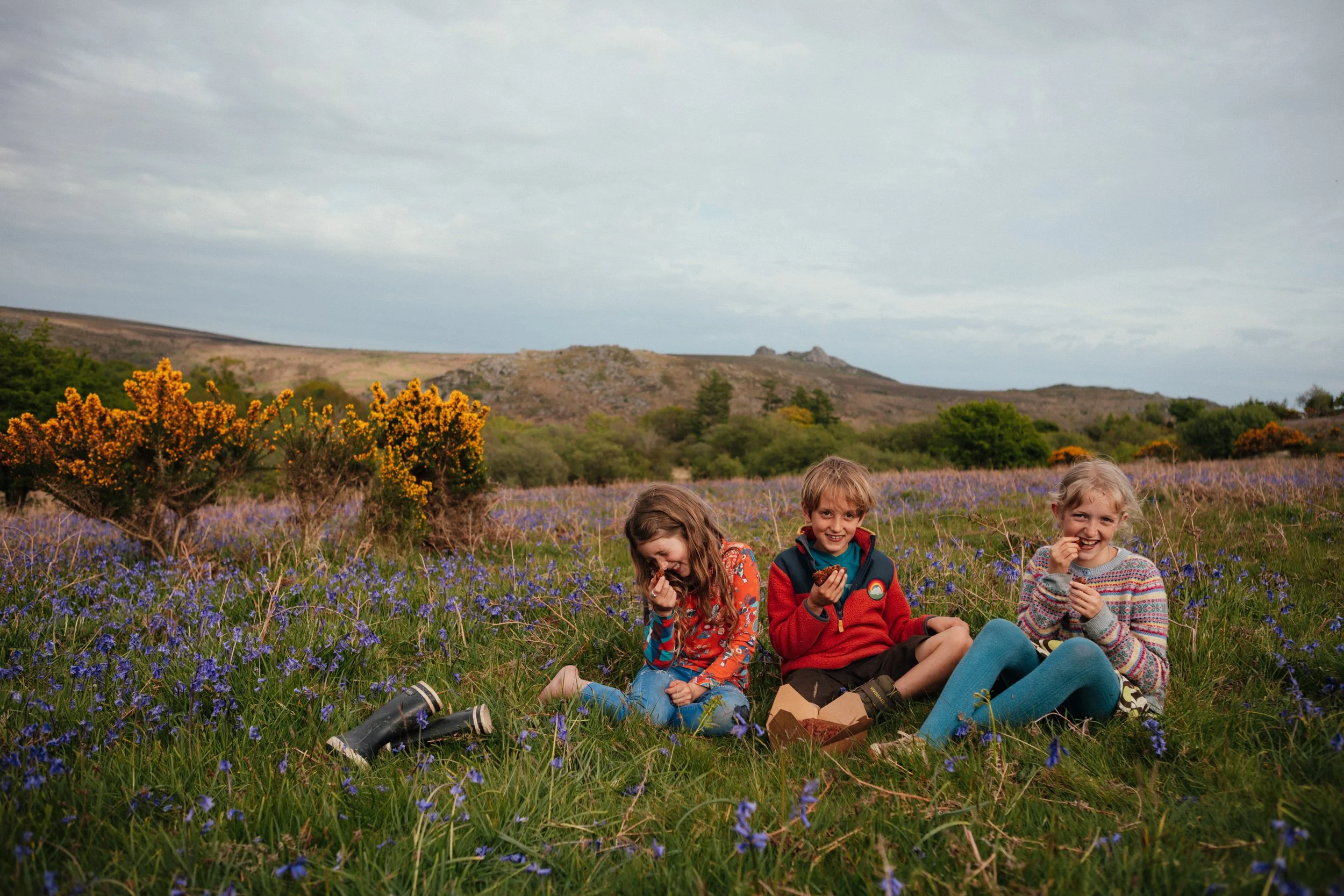 Bluebells-3.jpg