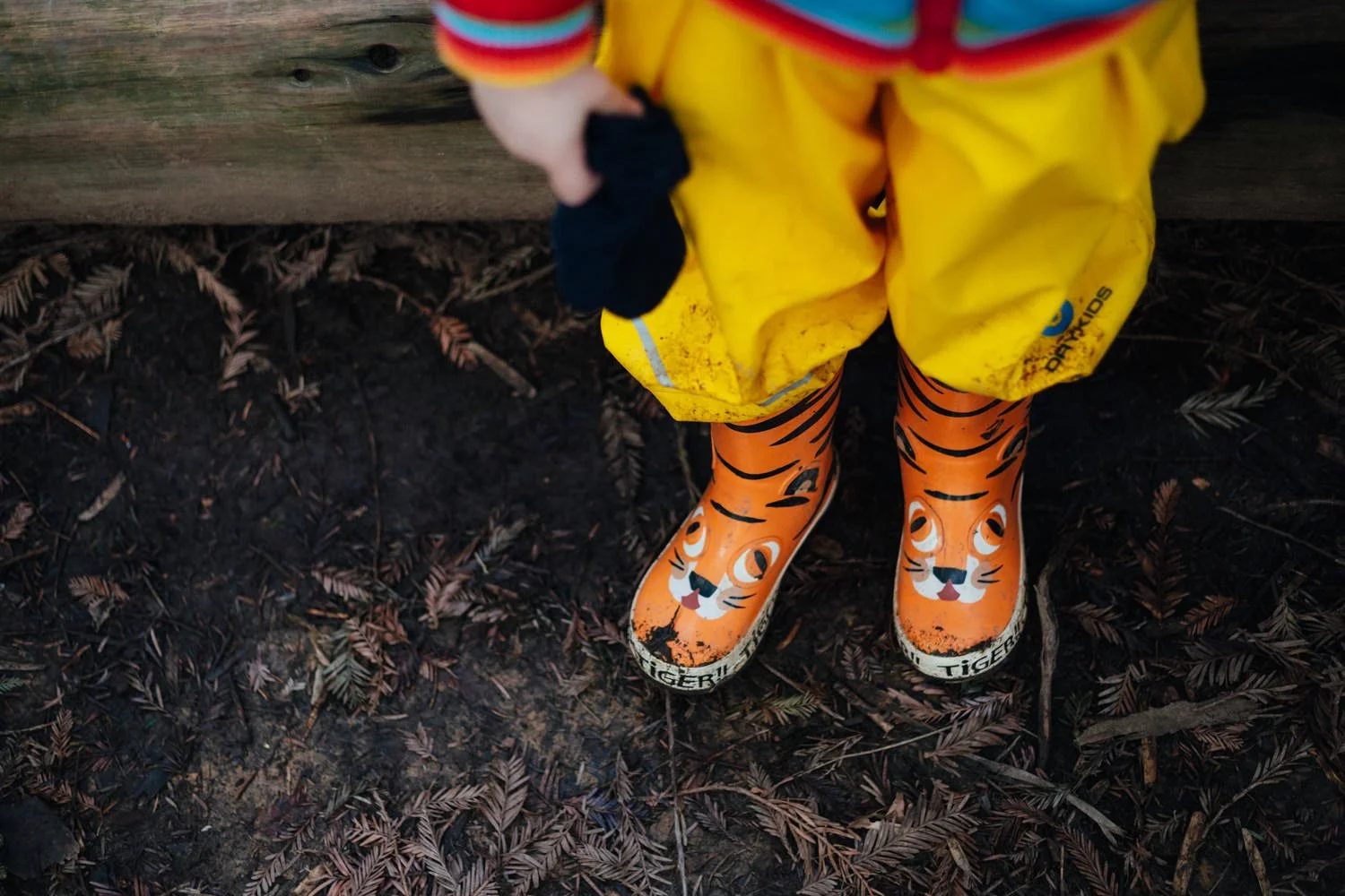Mud Tots Jan 2019-8.jpg