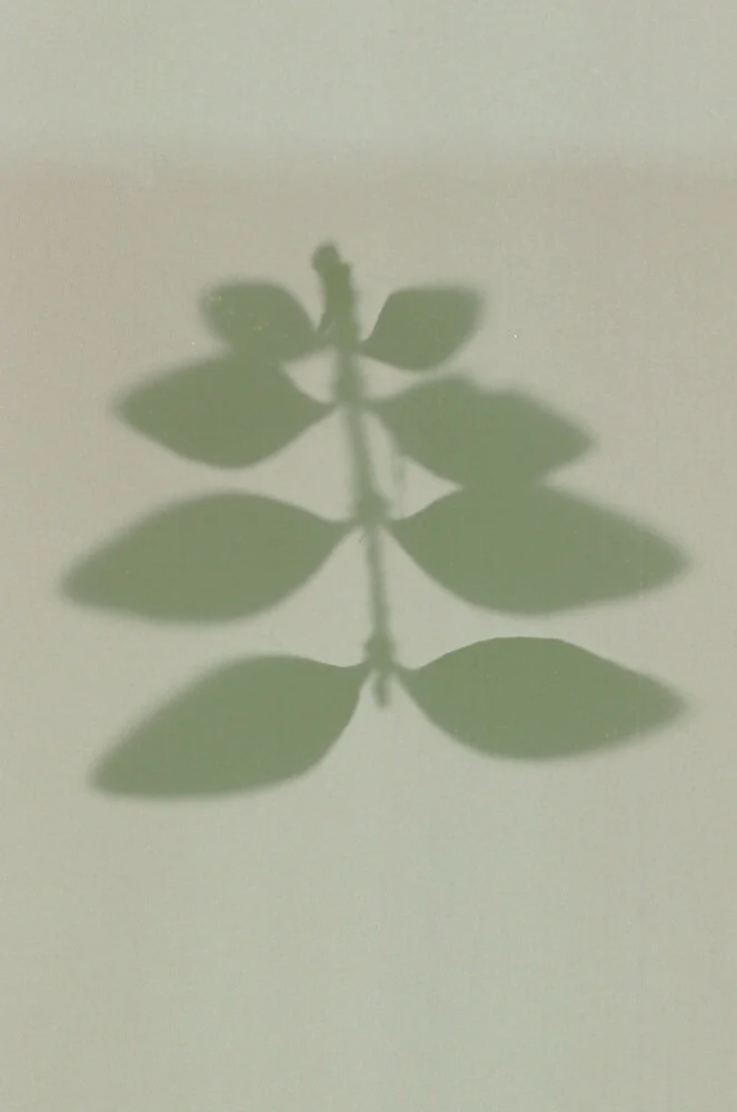 lumen 35mm-4.jpg