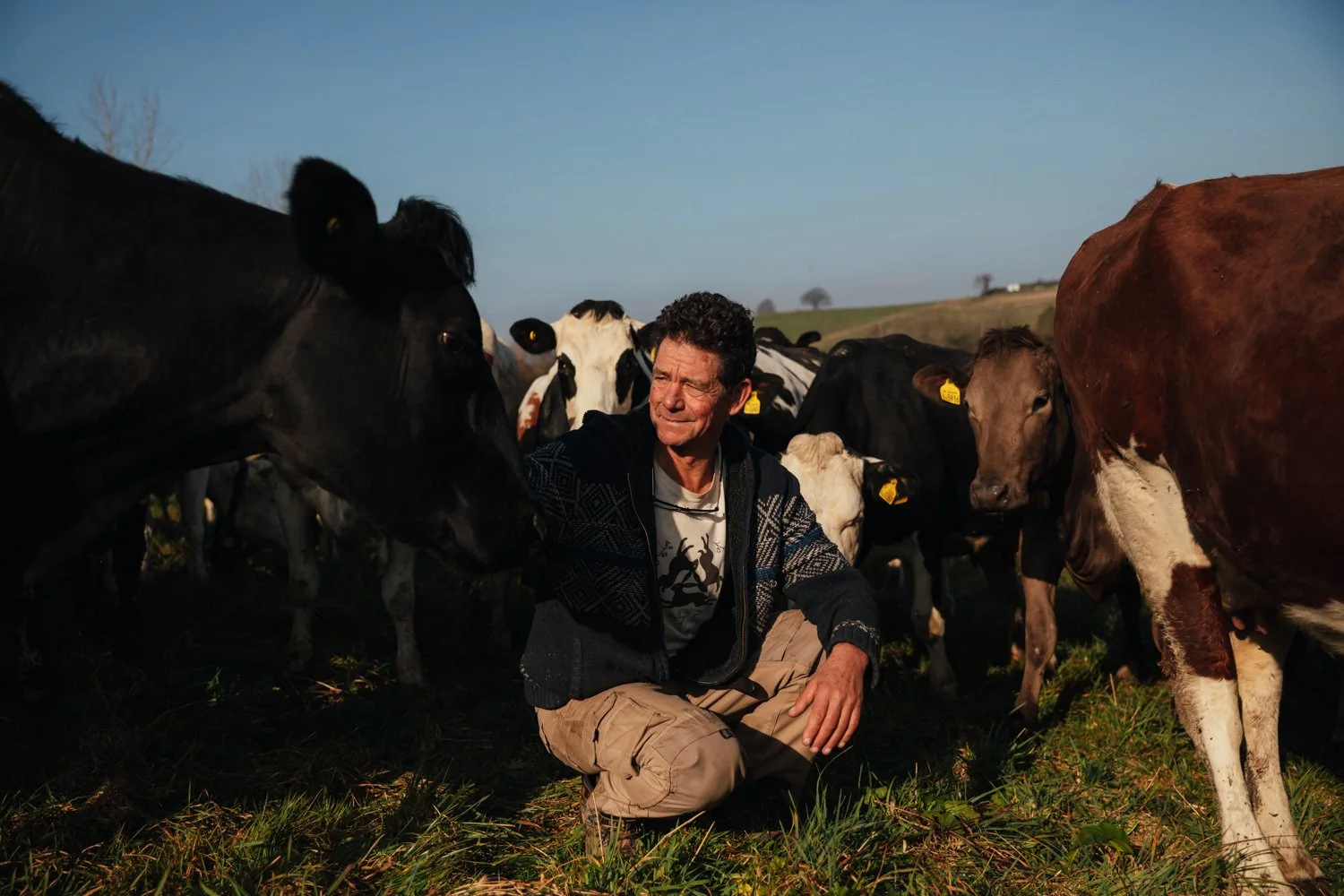 Riverford Dairy COLOUR CORRECTED-1.jpg