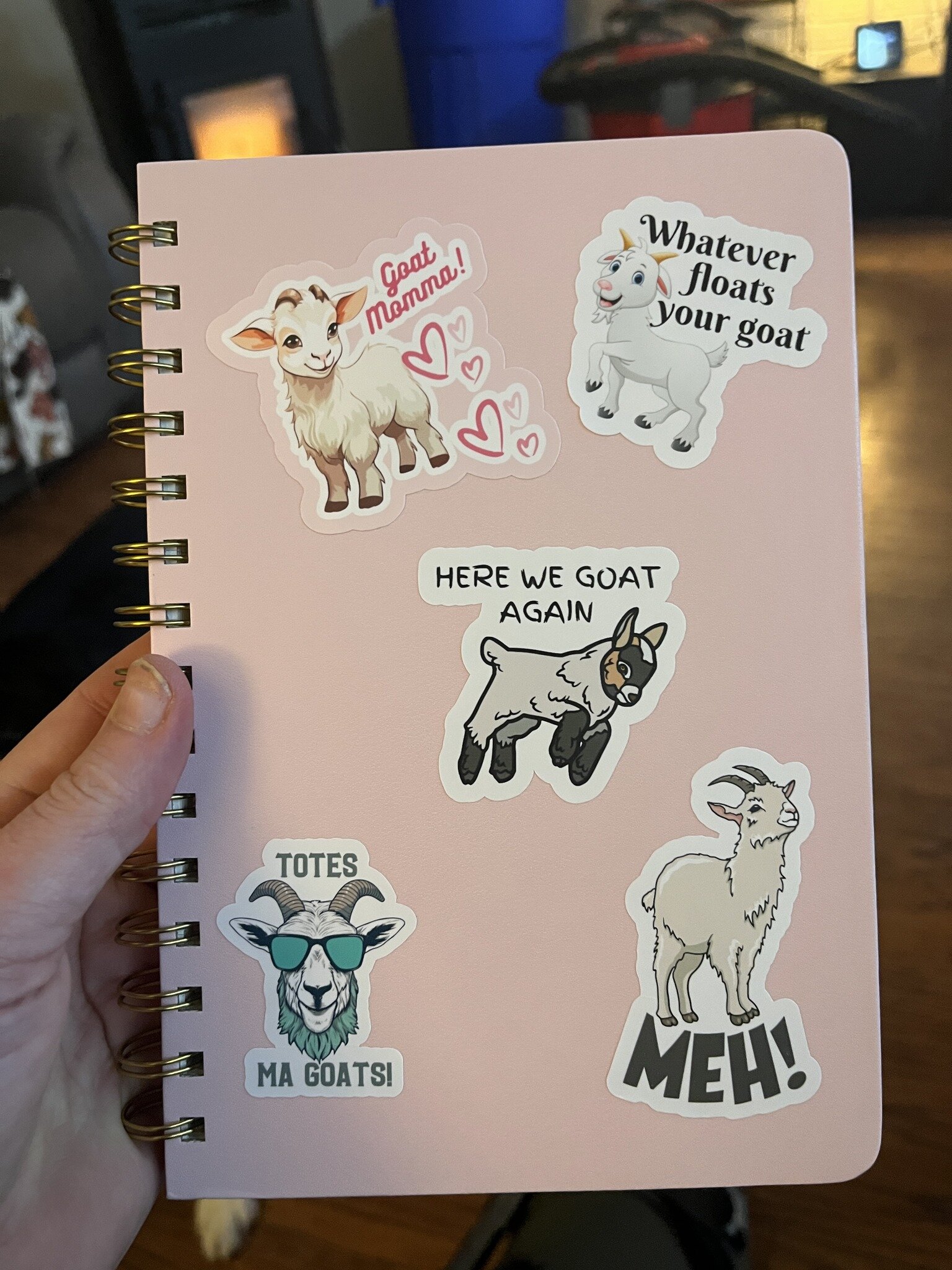 We've been busy working on stickers to add to our farm store offerings. Here's the first round of options that will be available when the petting zoo reopens in April 2024. 

Which one is your favorite? 

#heartnsoulfarm #pettingzoo