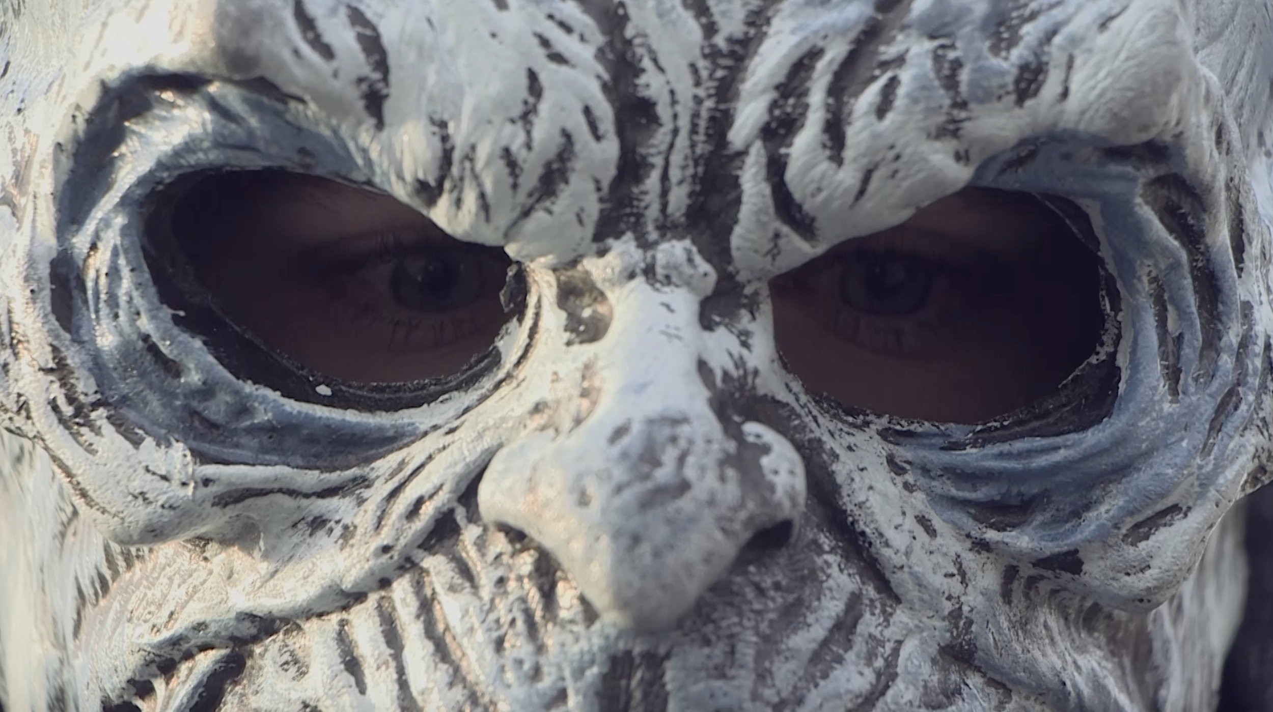 “Behind the Crystal Veil” Short