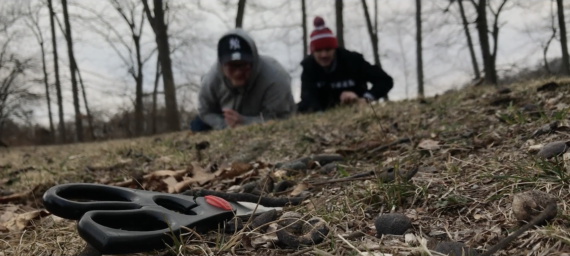 “Spider Hit” - QU 24 Hour Film Challenge 2018