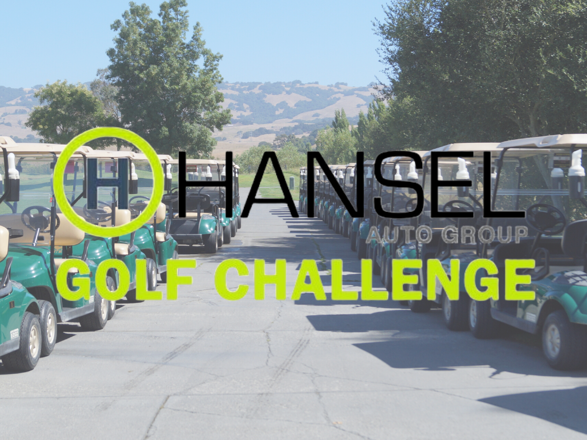 Desafío de golf Hansel