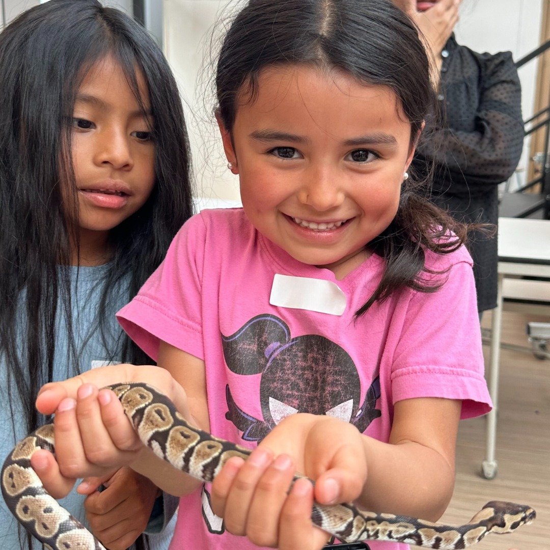 We're slithering into learning &amp; fun! These curious Club Members got up close and personal with snakes, turtles, and even geckos. At the Clubs, we offer opportunities to help kids gain access to education they typically wouldn't receive in everyd