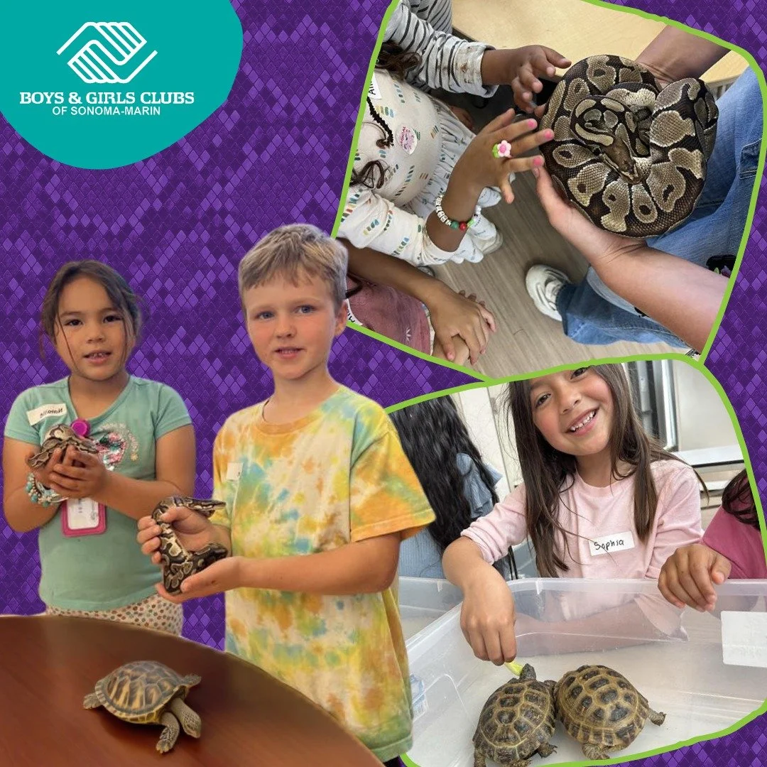 It&rsquo;s National Reptile Awareness Day!

From curious critters to cold-blooded facts, Club members love diving into hands-on learning about the wild world of reptiles.

Celebrating science, discovery, and the creatures that spark big questions!

#