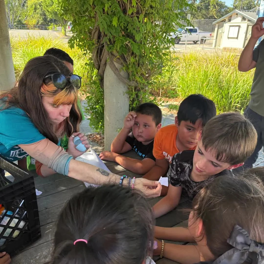 It&rsquo;s reading time&mdash;with a twist! 

After story time, our Brooks Road Early Learners recently participated in an alphabet scavenger hunt! Club staff hid plastic eggs filled with a letter of the alphabet around the playground for our members