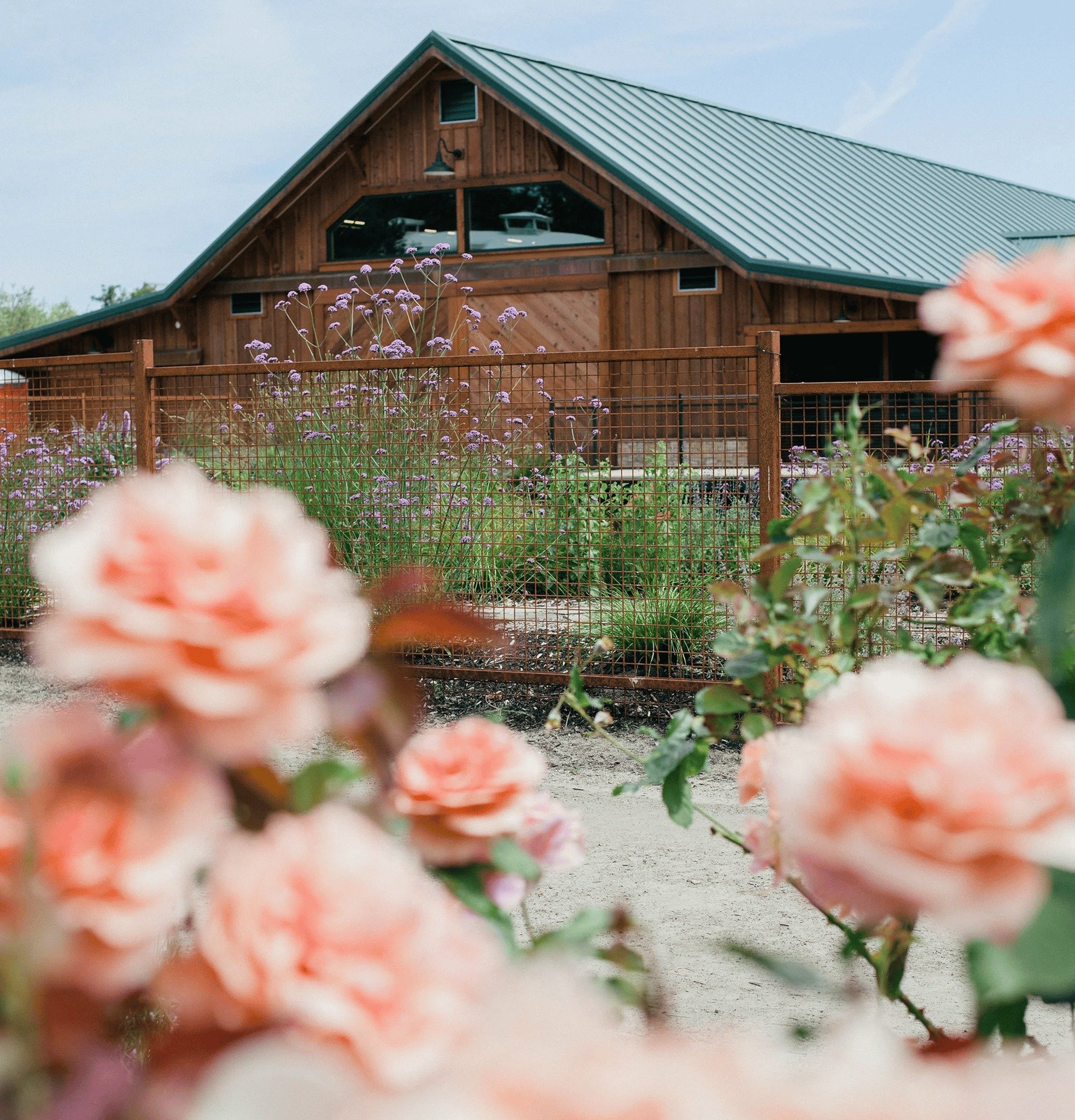 An unforgettable garden party awaits 🌿🍷

Join us Sunday, June 26 | 11:00 AM – 1:30 PM for a hands-on harvest experience, garden-fresh lunch, and beautiful wines—all set in the stunning estate gardens of Bricoleur Vineyards.

Led by Esta