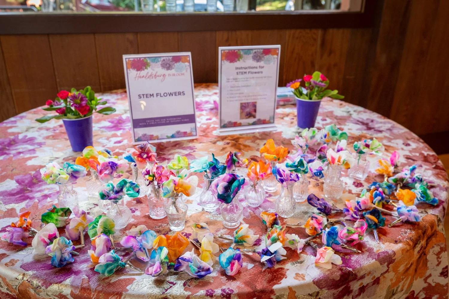 26-04 Apr - GMF - Healdsburg in Bloom_V5A7125.jpg