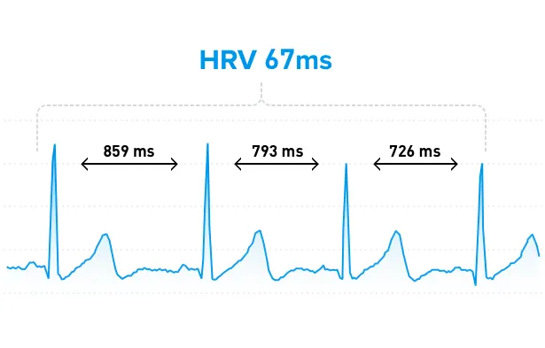Heart Rate Variability (HRV) and Recovery
