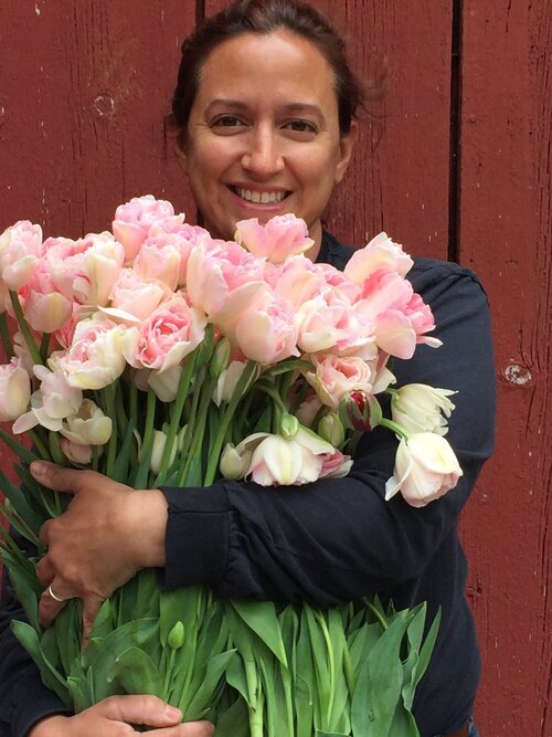 Xenia with an armload of Tulip 'Angelique'