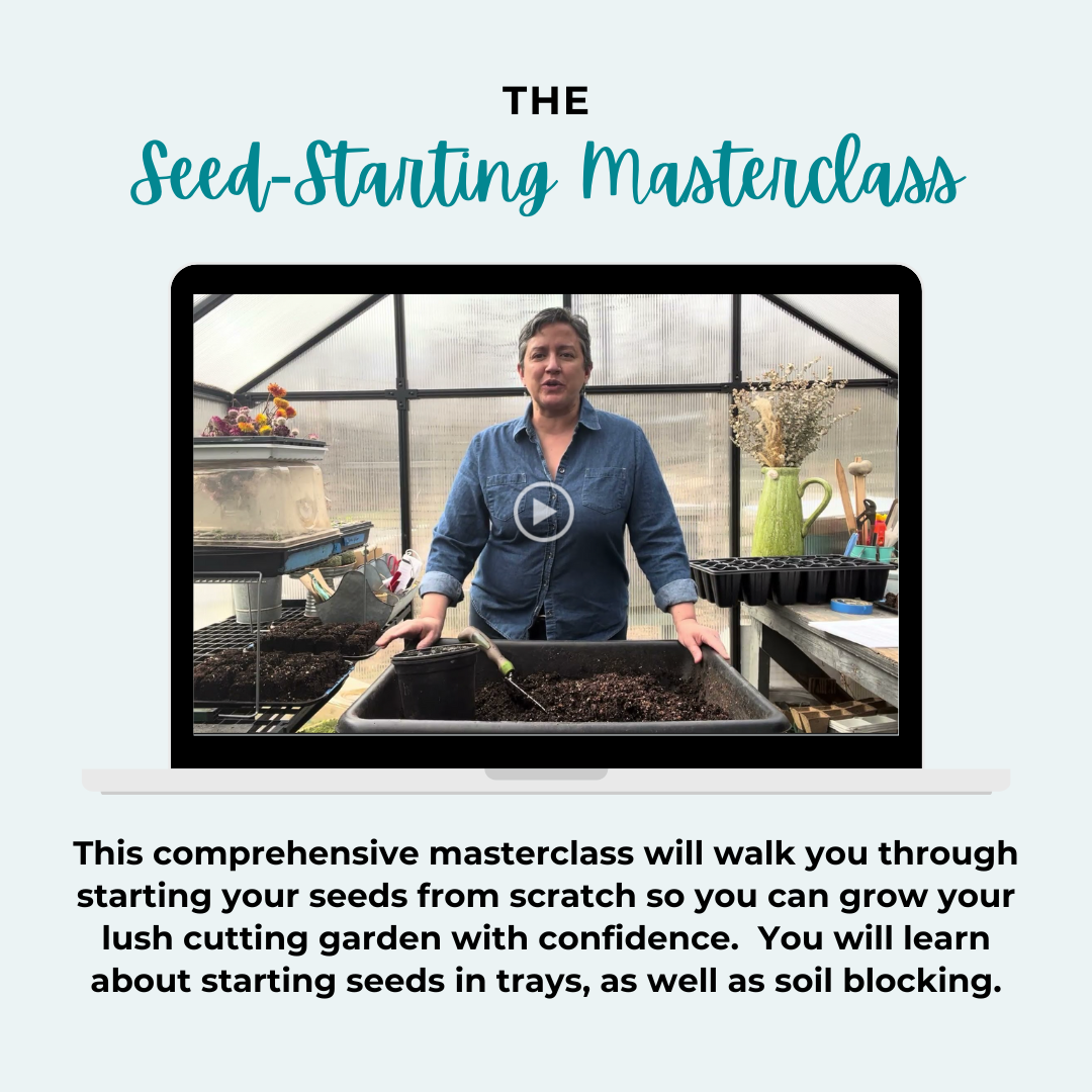 The Seed-Starting Masterclass