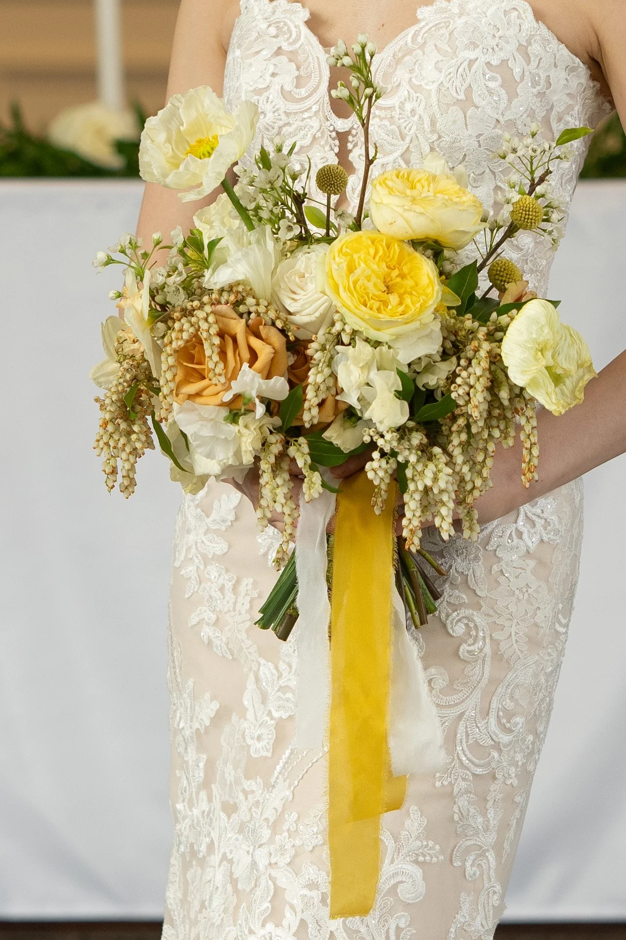 Sunshine &amp; Splendor at The Water’s Edge