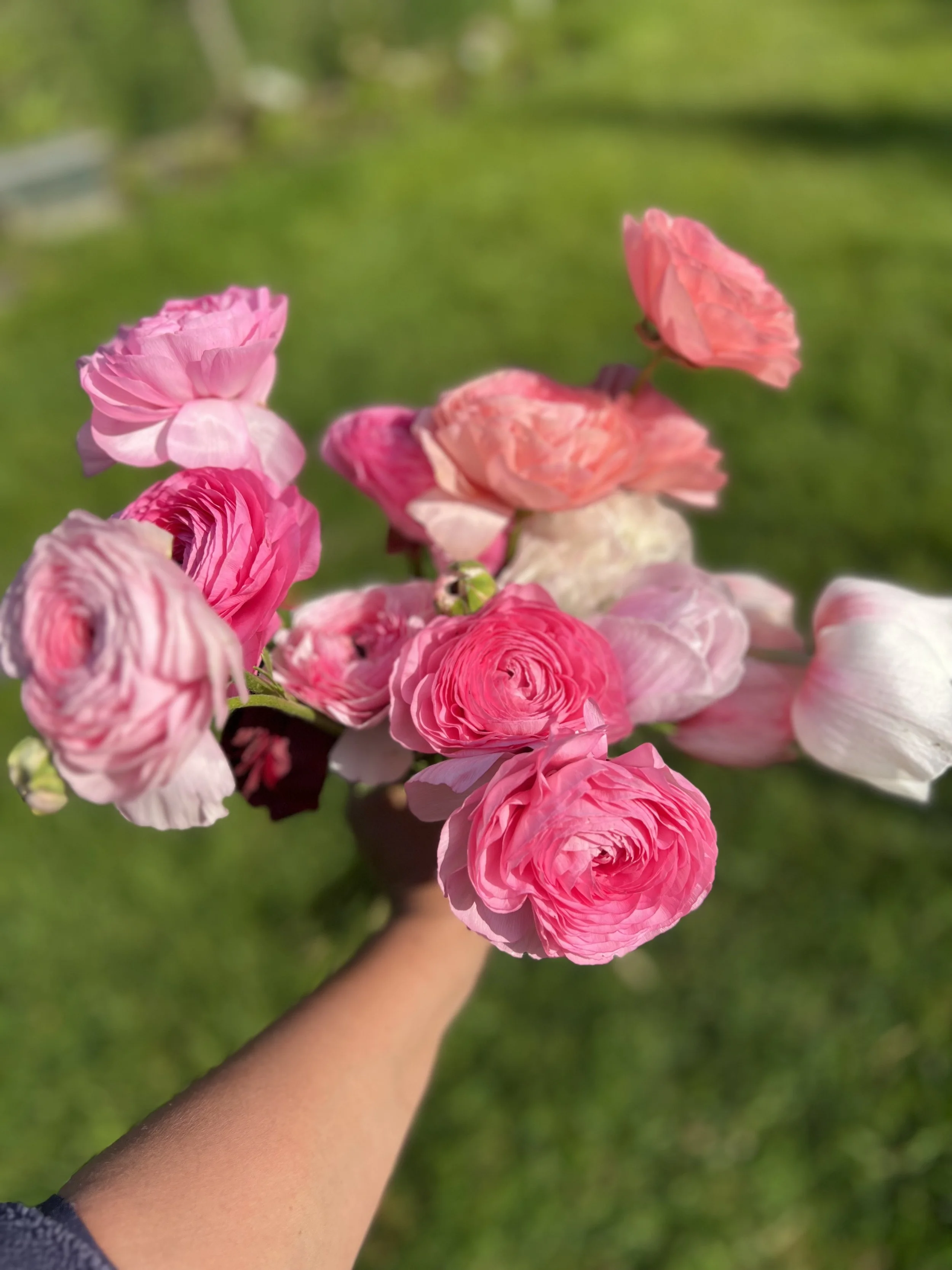 IMG_8958 2.jpeg