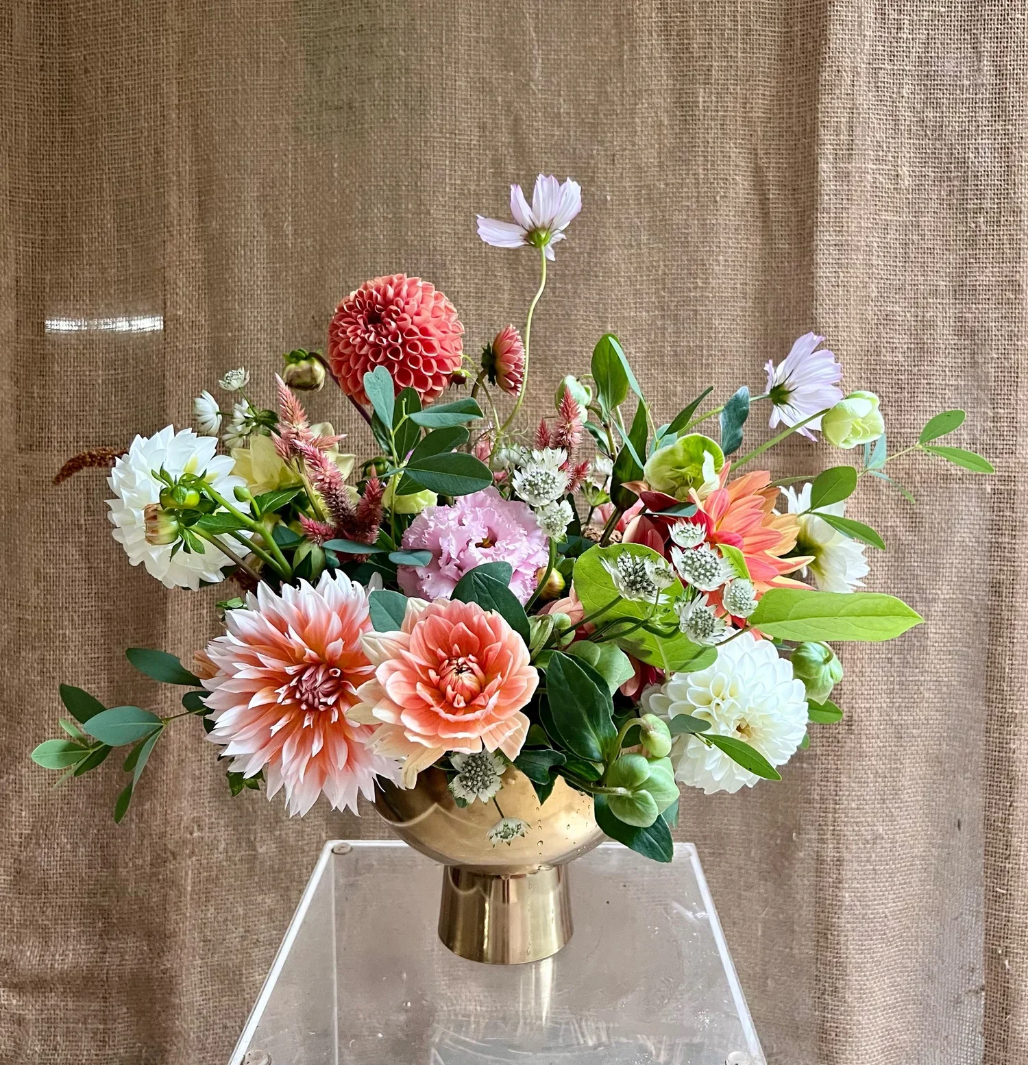 Designing with Dahlias: A Wine & Design Workshop