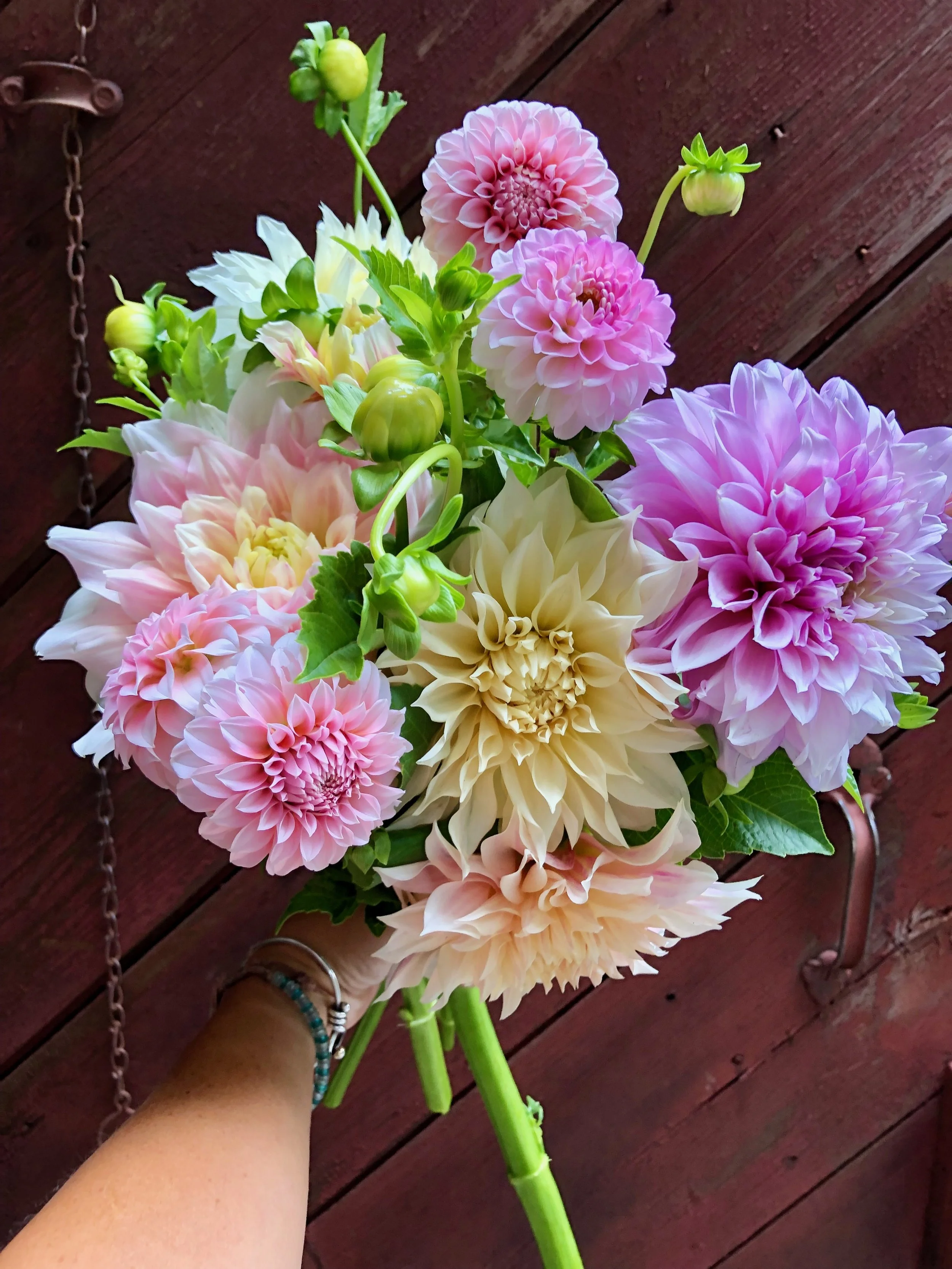 Do You Know Where Your Flowers Come From?