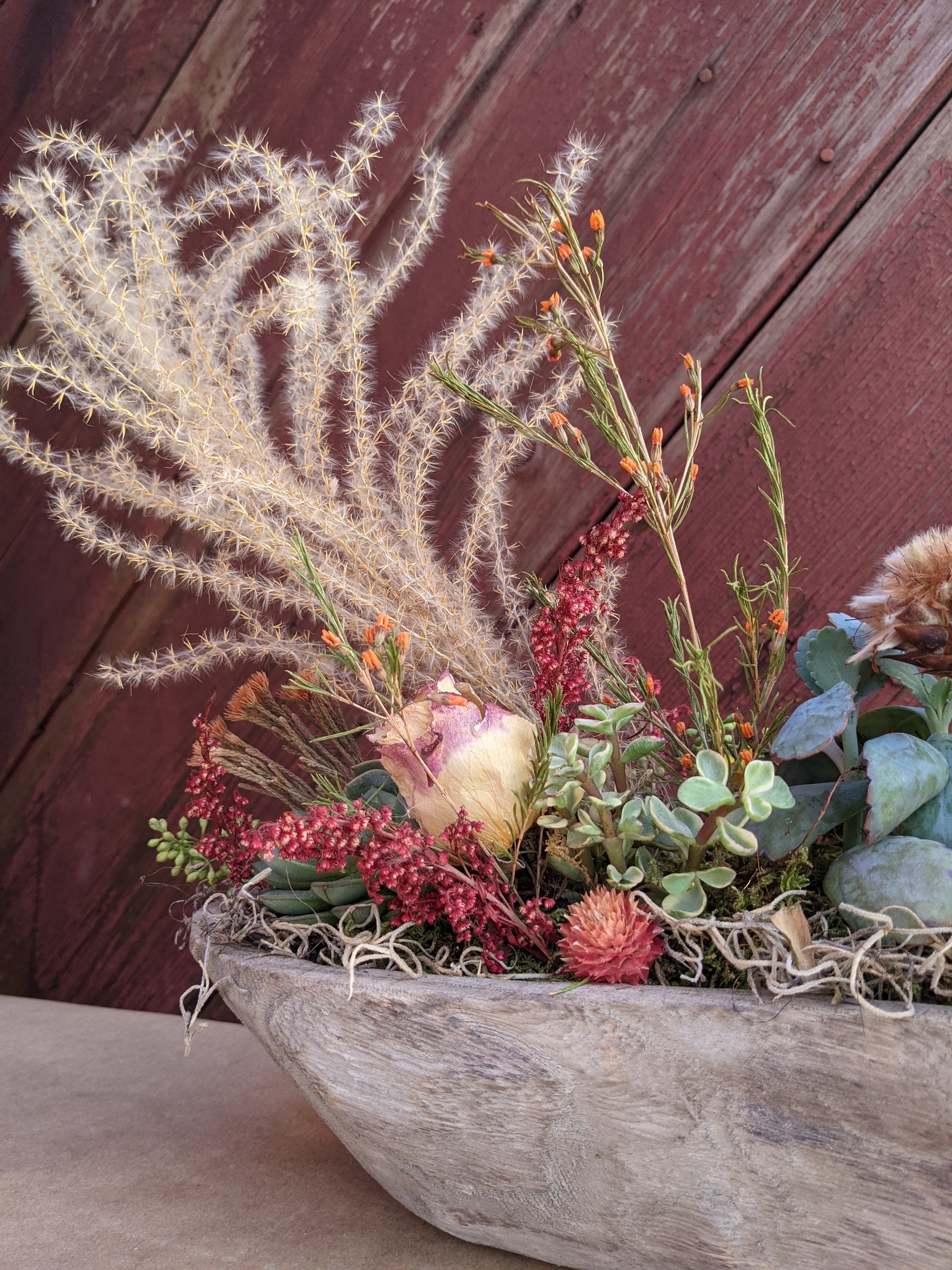 Succulent and dried florals arrangement