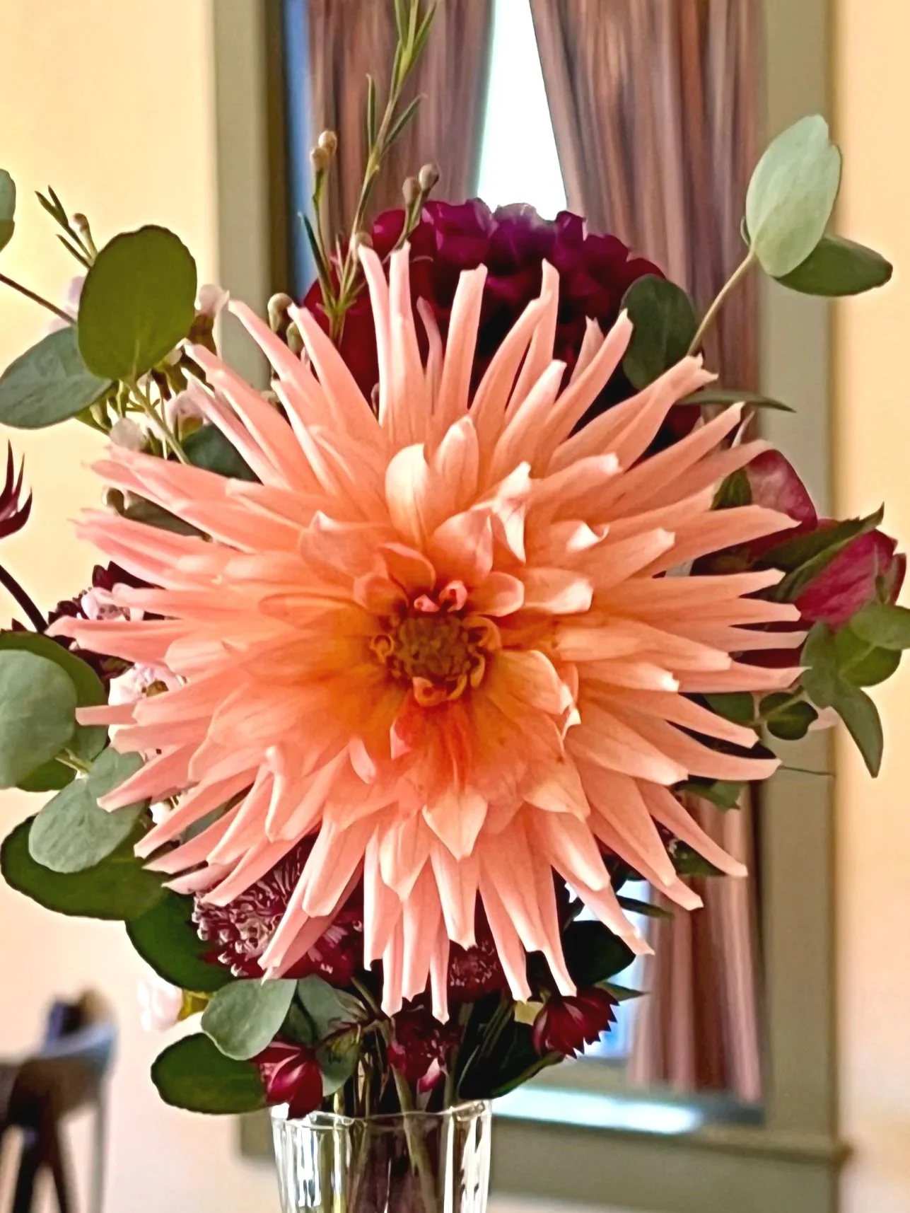 Dahlia+-+Preference+2.jpg