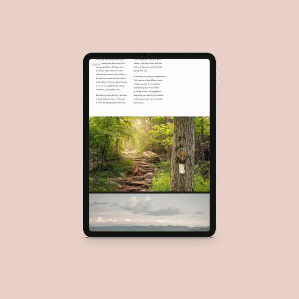 Quick and Dirty AT Mockup.gif