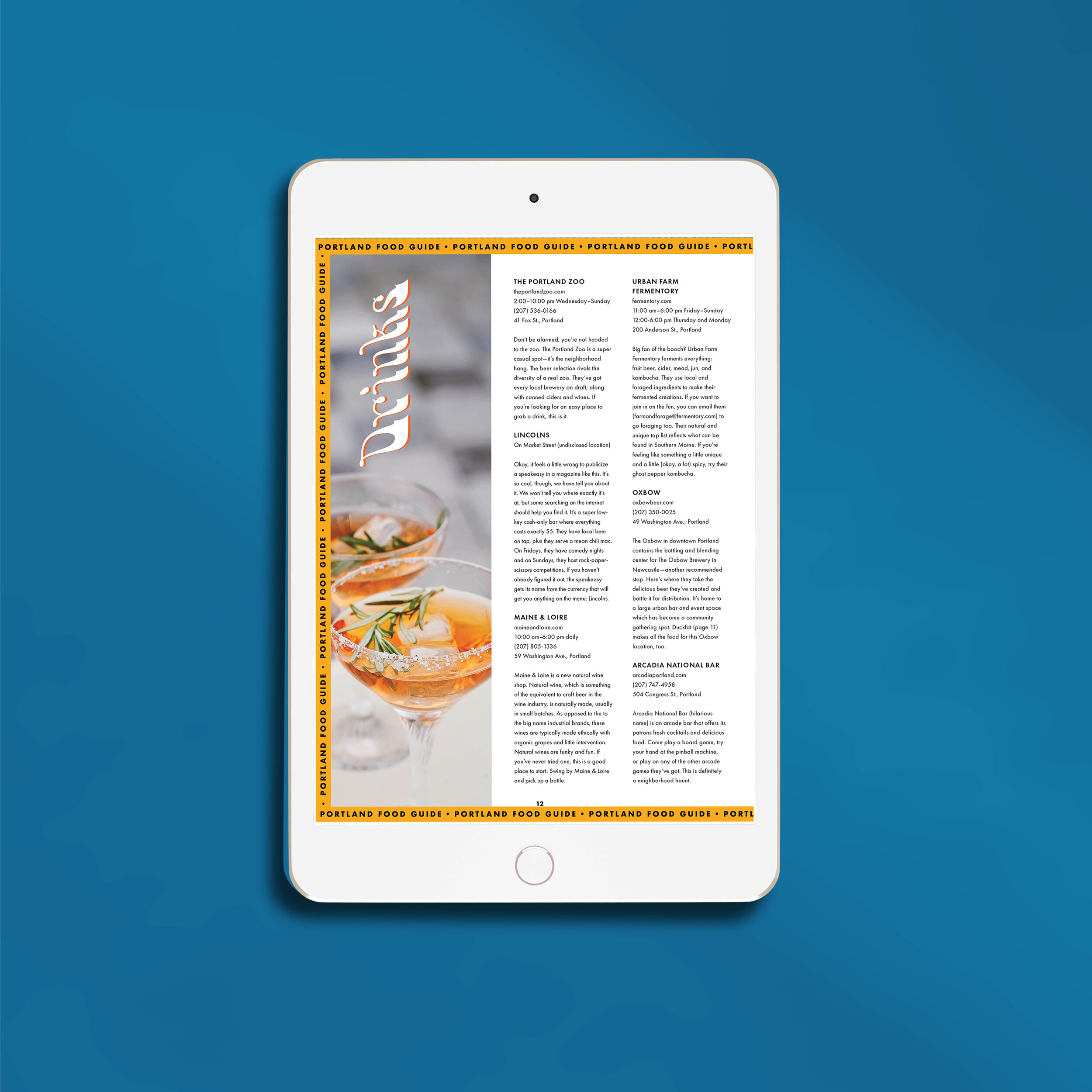 Issue 003 Digital Mag_ipad.jpg