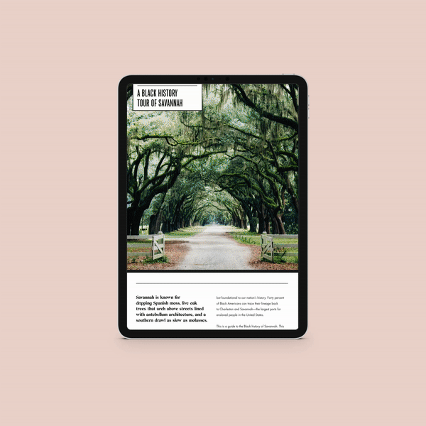 NEW Quick&Dirty Mockup_Savannah Black History.gif