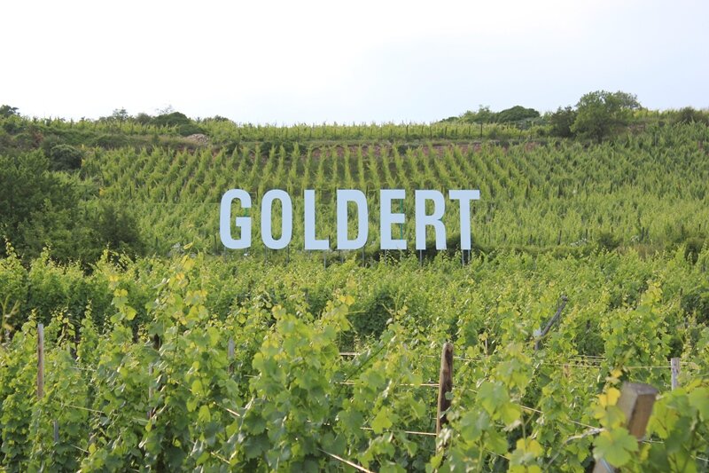 Grands Crus Goldert (copie) (copie)