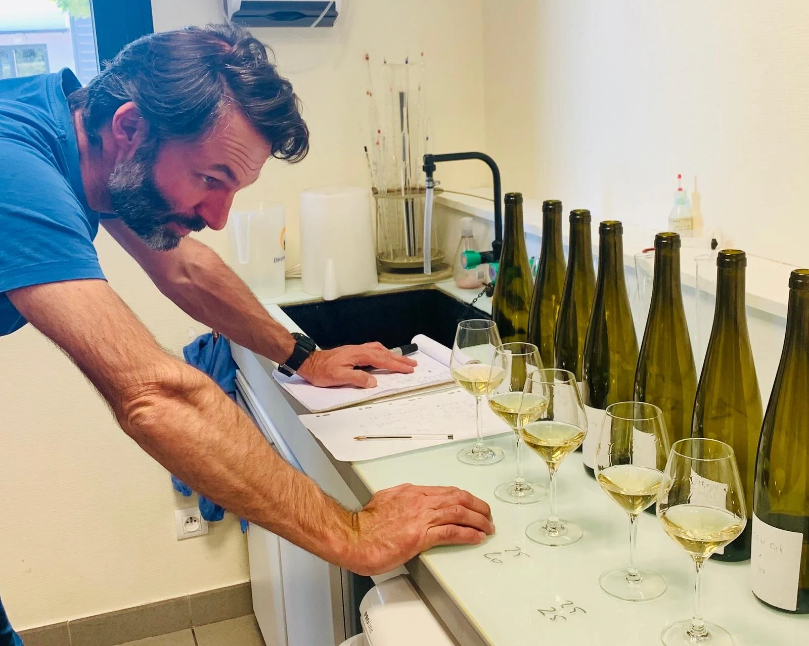 Finalisation et mise en bouteilles du millésime 2019 !