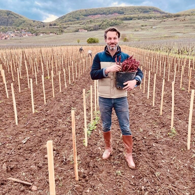 Nouvelle plantation pour les Pinot Noir !