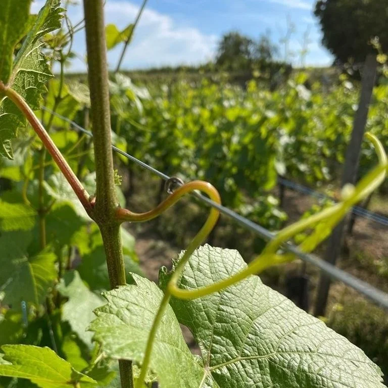 Focus sur les travaux de saison, on vous explique tout !
