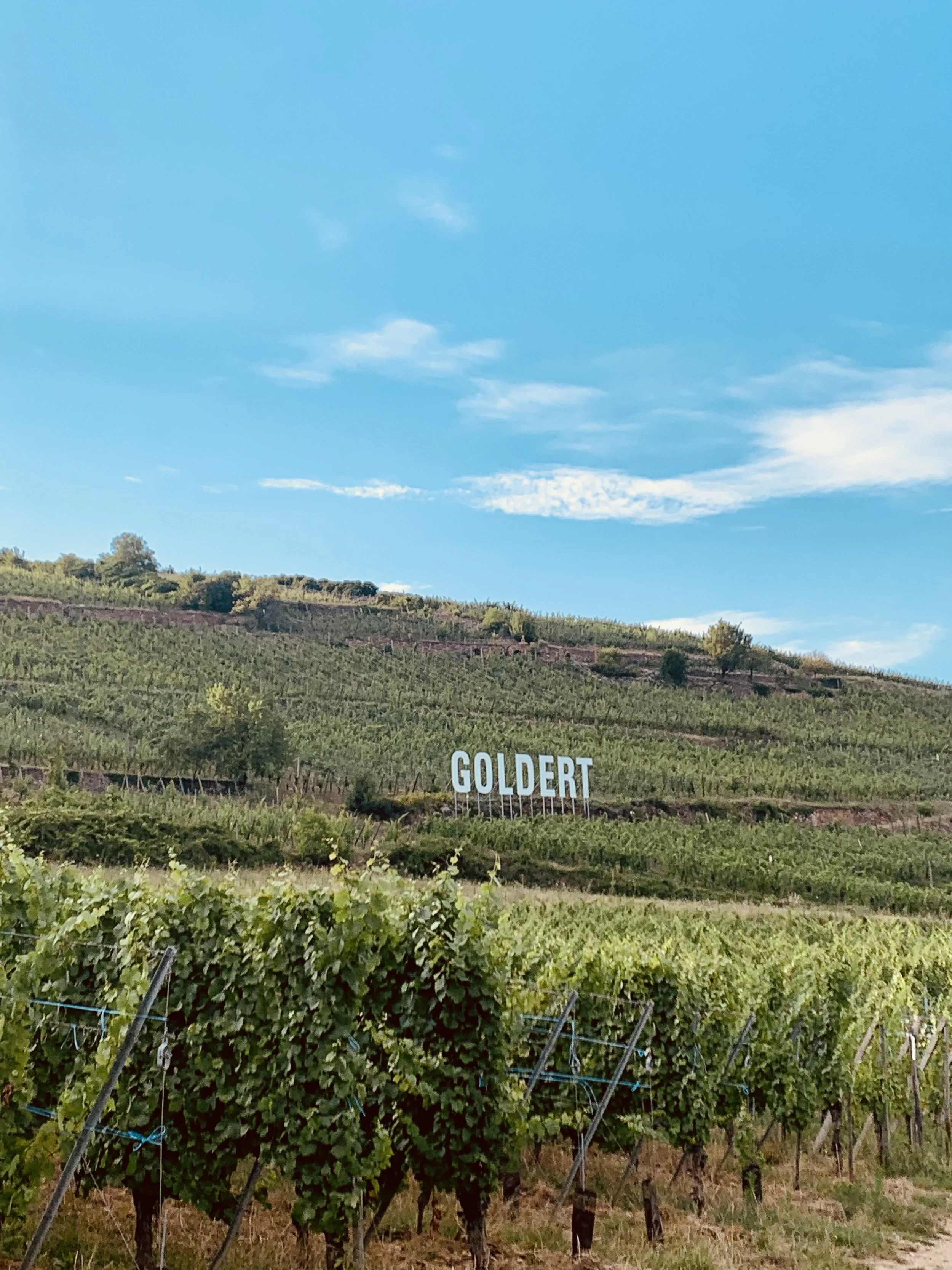 Rendez-vous sur les terasses du G.C Goldert avec Désir ...
