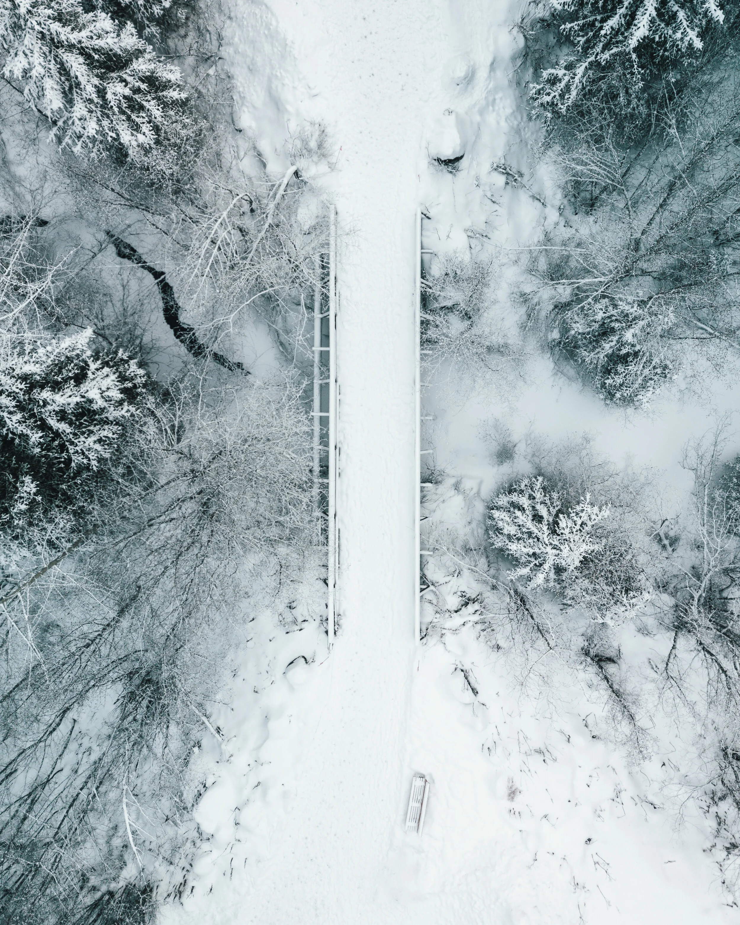 DJI_0123-Edit.jpg
