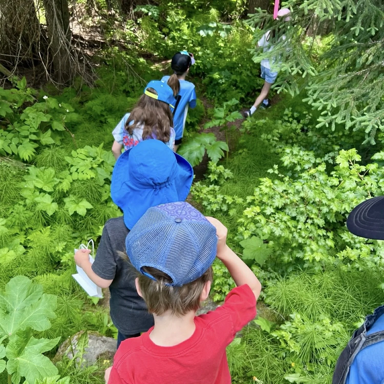 Week 8 - Art Zone Summer Camp 