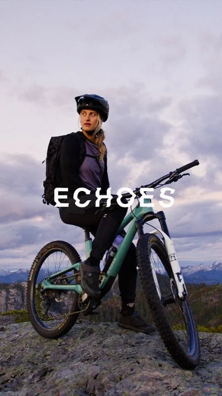 Poster b0982d9c41-poster.jpg