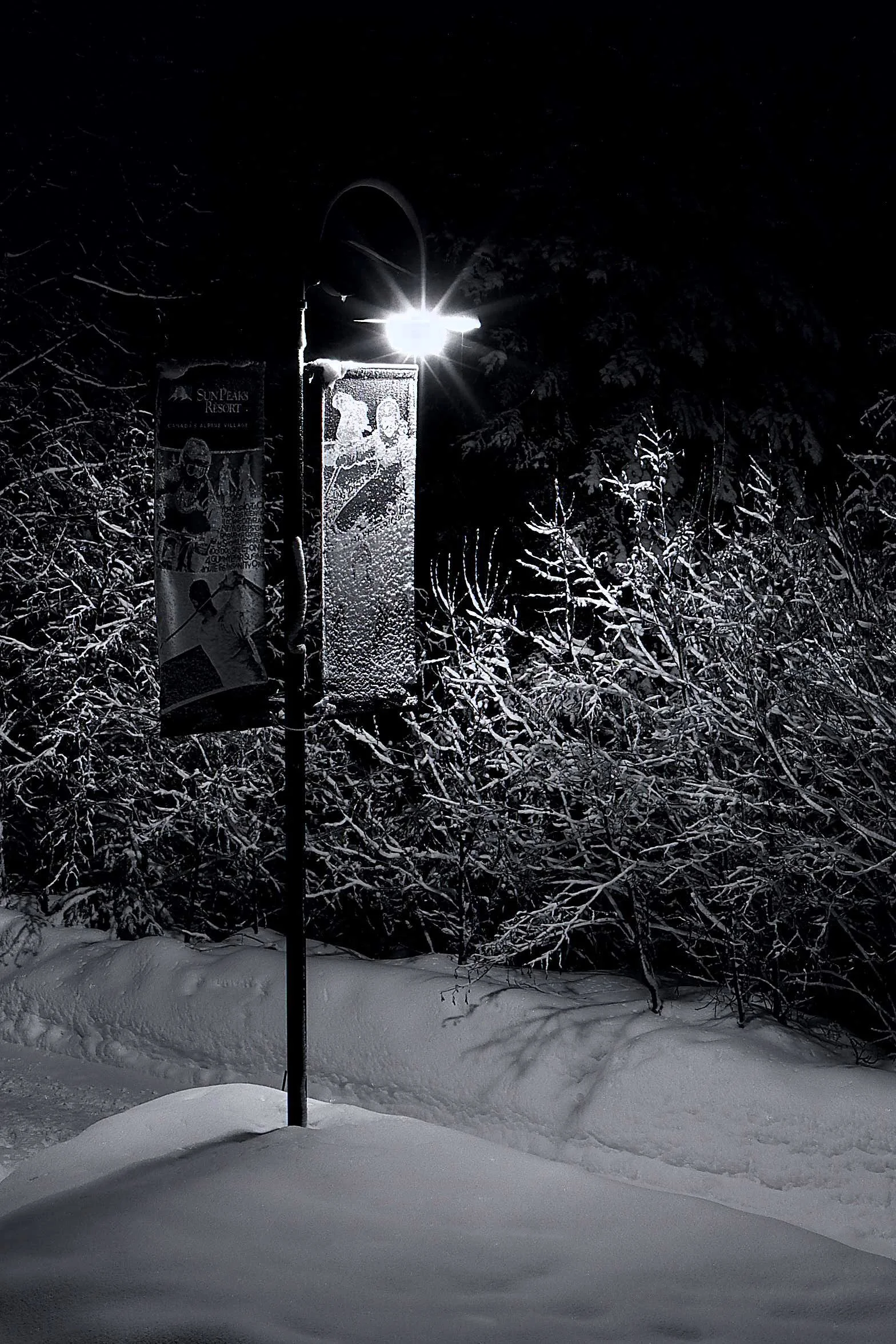 Valley Trail at Night
