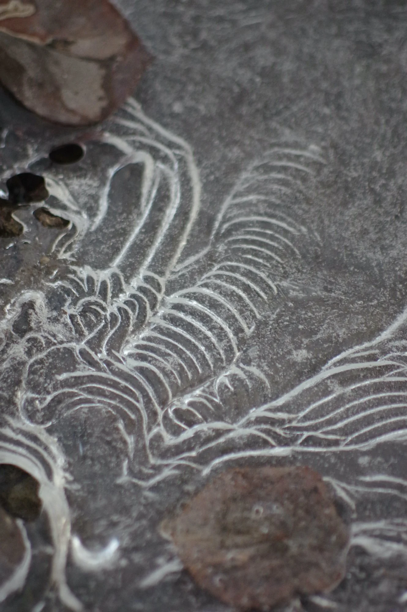 C.Wenger_Ripples_11x14_ Aluminum_$90.jpg