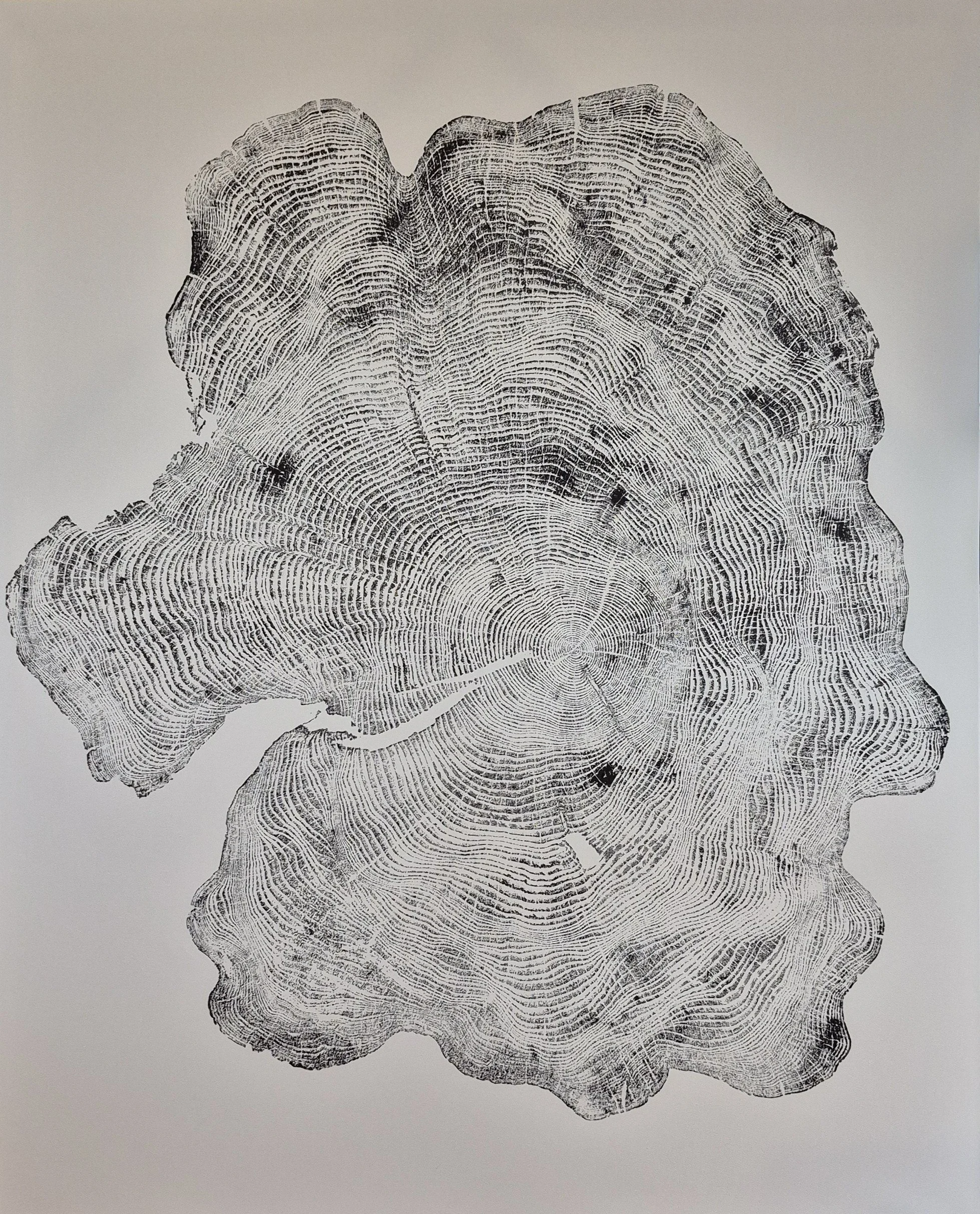 Casey Macaulay, Stanley Park Hemlock, ink on canvas, 48x60, $550.00.jpg