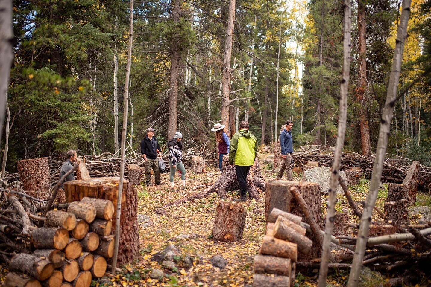 Have you explored the Throne Circle along the Terroir Art Path? This enchanting trail was originally envisioned and named by the talented artist @studioheatherhansen The term &ldquo;terroir&rdquo; finds its roots in the French wine industry, where it