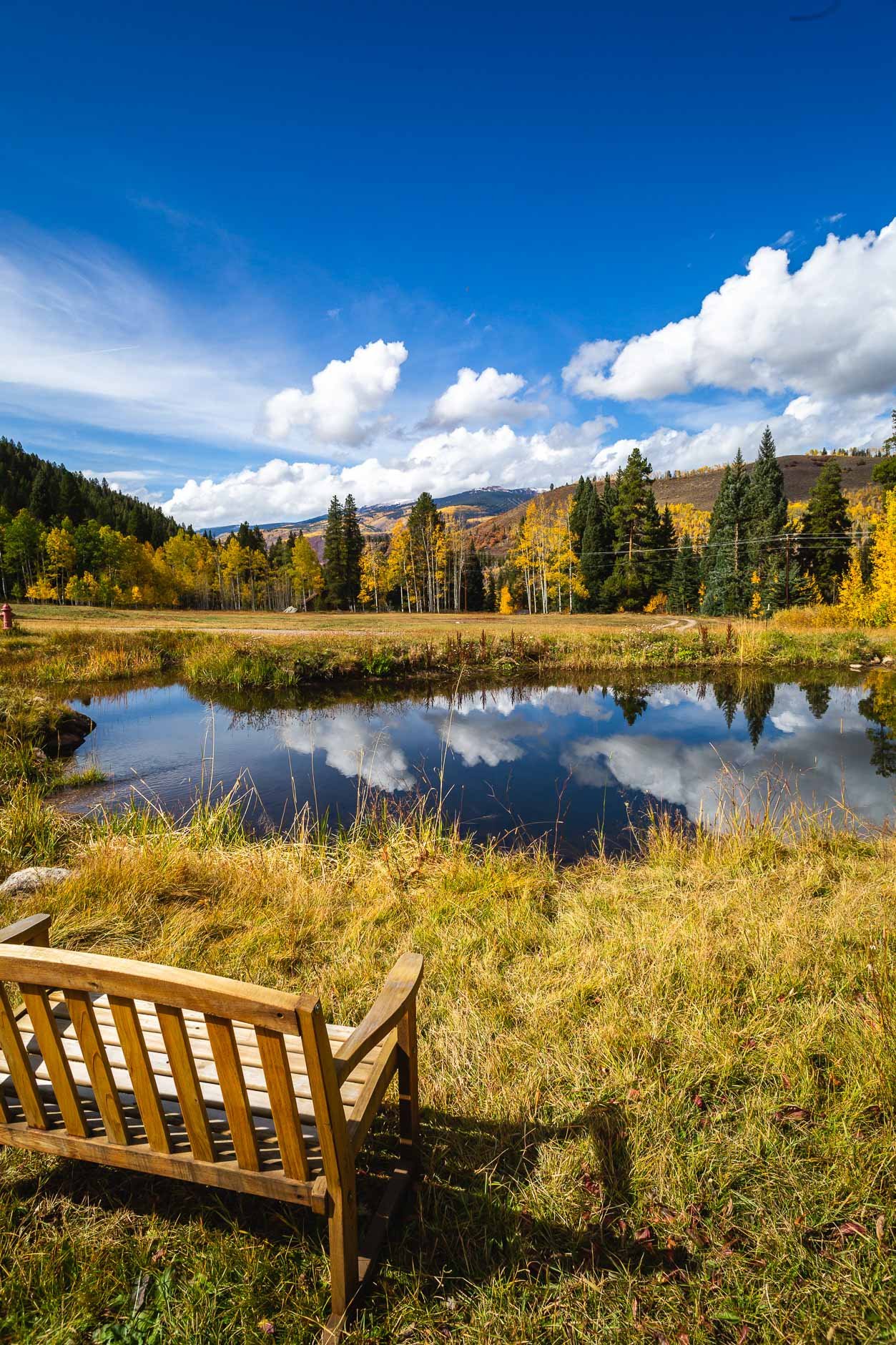 Fall Pond.jpeg