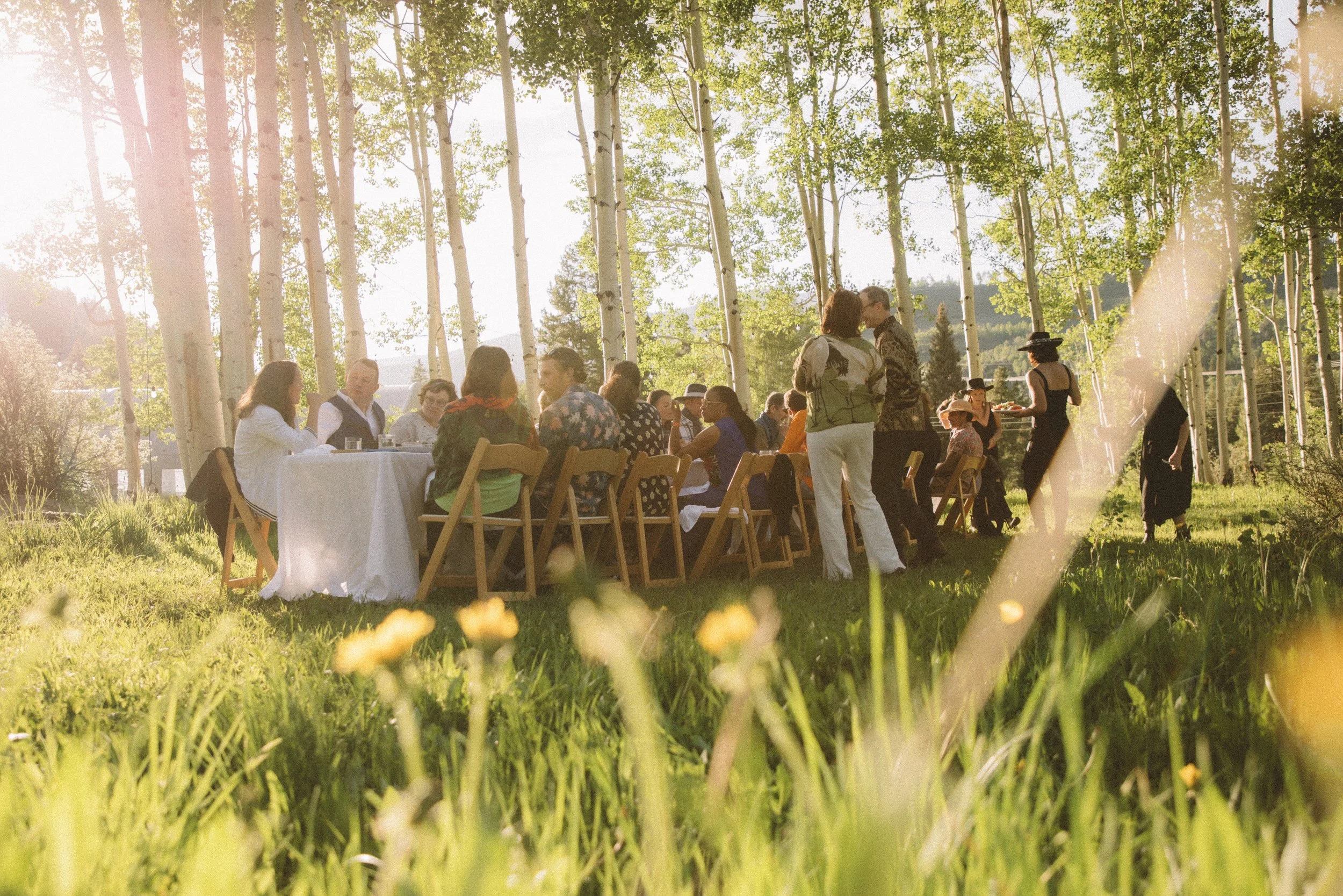 People gathered for an outdoor meal or celebration in a sunny, wooded area with tall trees and green grass.