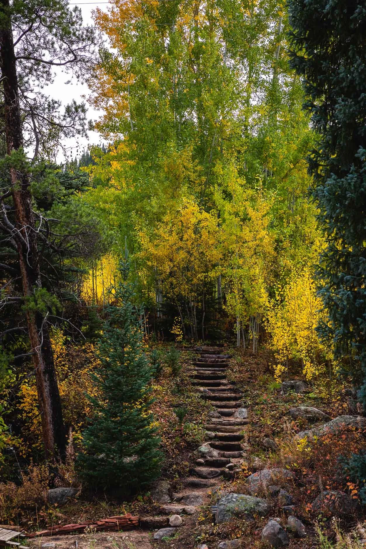 "Steep wooded hiking trail with wooden steps through autumn foliage at Beyul Retreat, surrounded by rocks and fall-colored trees."