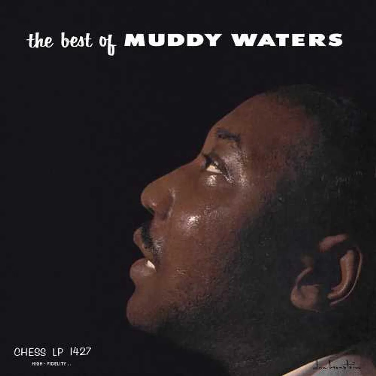 Muddy Waters - The Best Of Muddy Waters - Chess Records (Acoustic Sounds Series)
