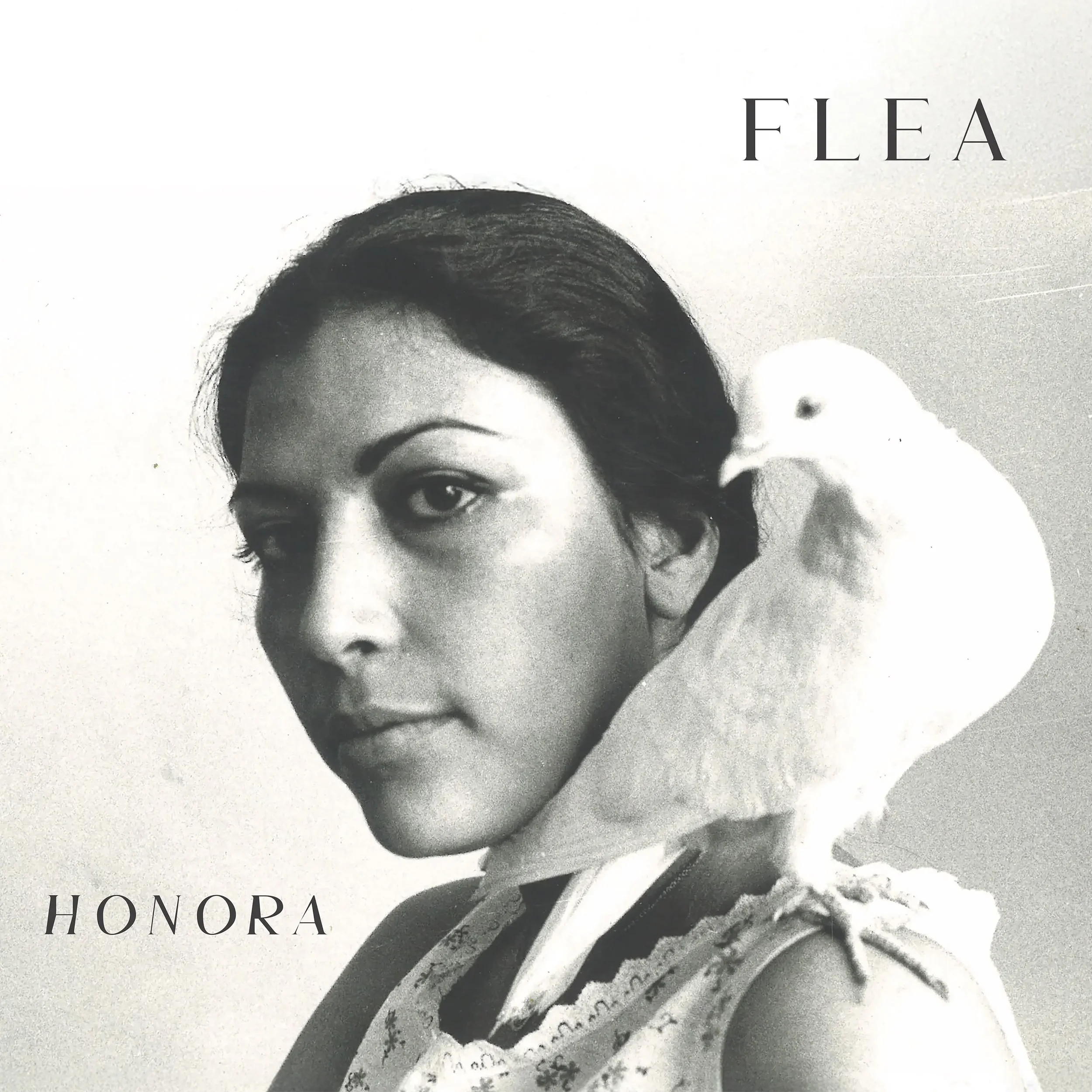 FLEA_Honora.webp