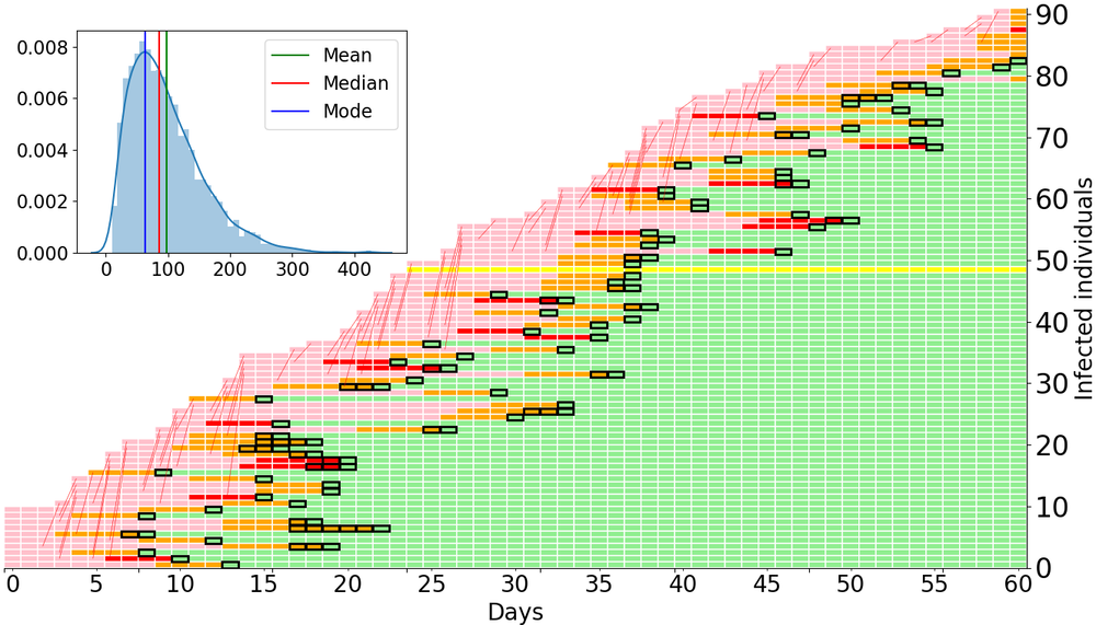 Fig. 3. Illustration of a simulation similar to Fig. 2, orange curve (widespread PCR tests, no CT use). Simulation starts at day 0 (horizontal axis) with 10 individuals and runs for 60 days with R* = 1.06. Vertical axis indicates each infected indiv…