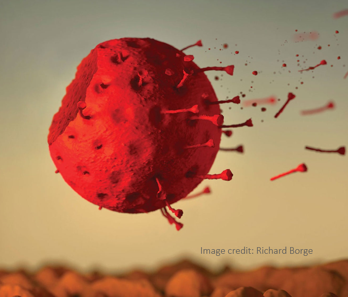 Eliminating COVID-19: Whenever We’re Ready